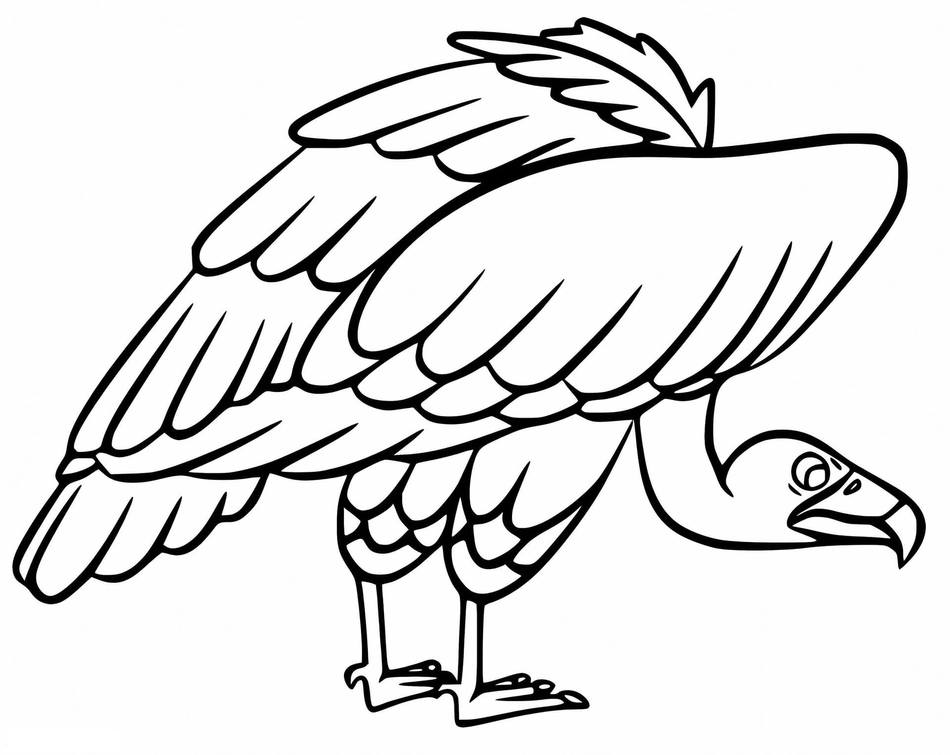 Vulture 5