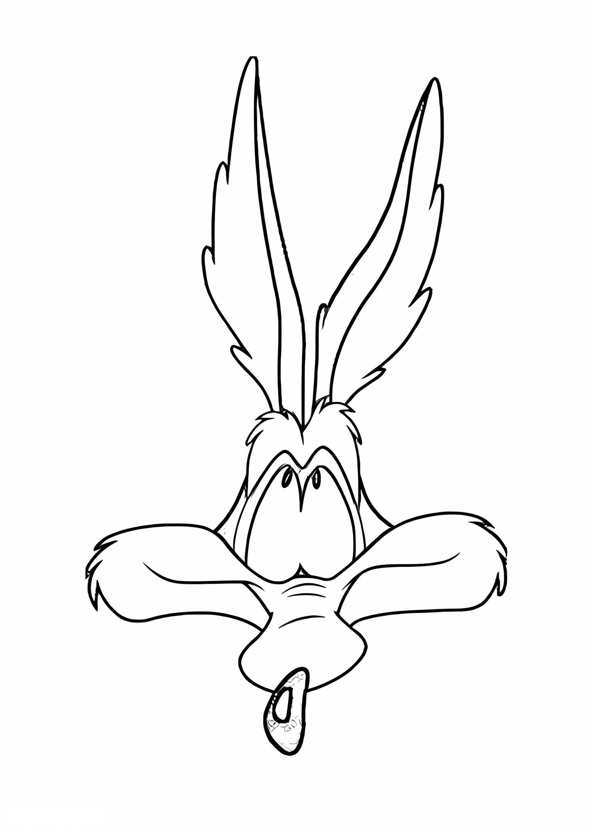 Wile E Coyote Face