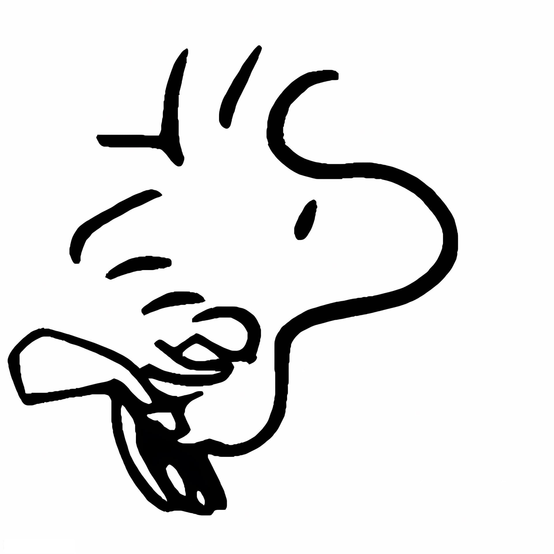 Woodstock From Peanuts