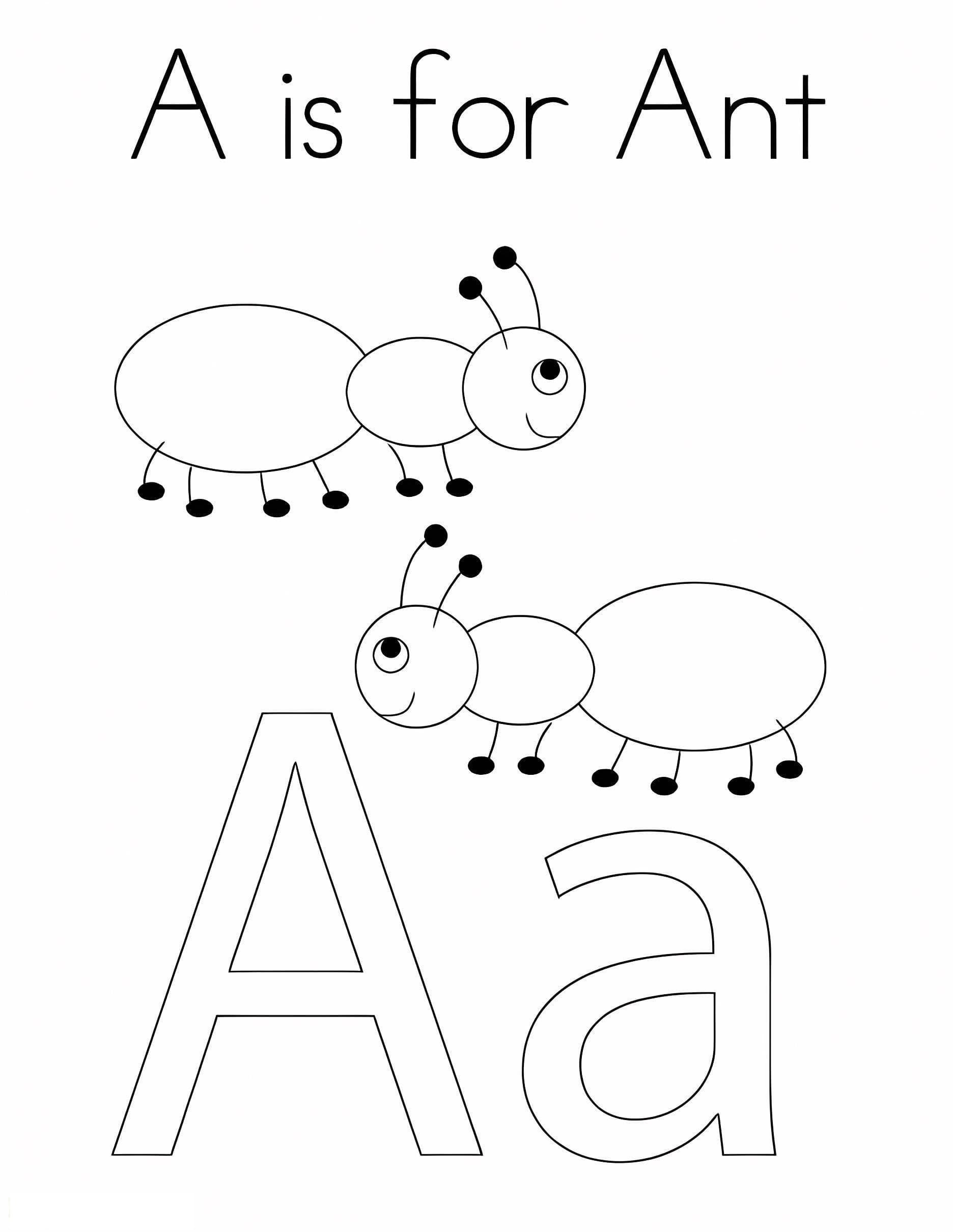 A Is For Ant