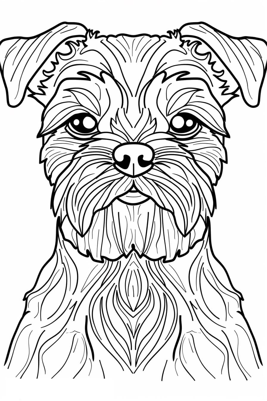Affenpinscher 0