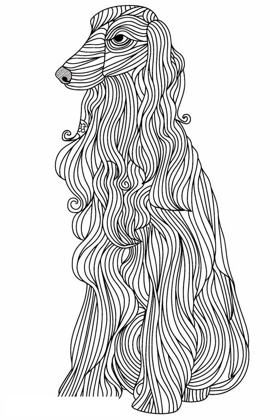 Afghan Hound cartoon 1