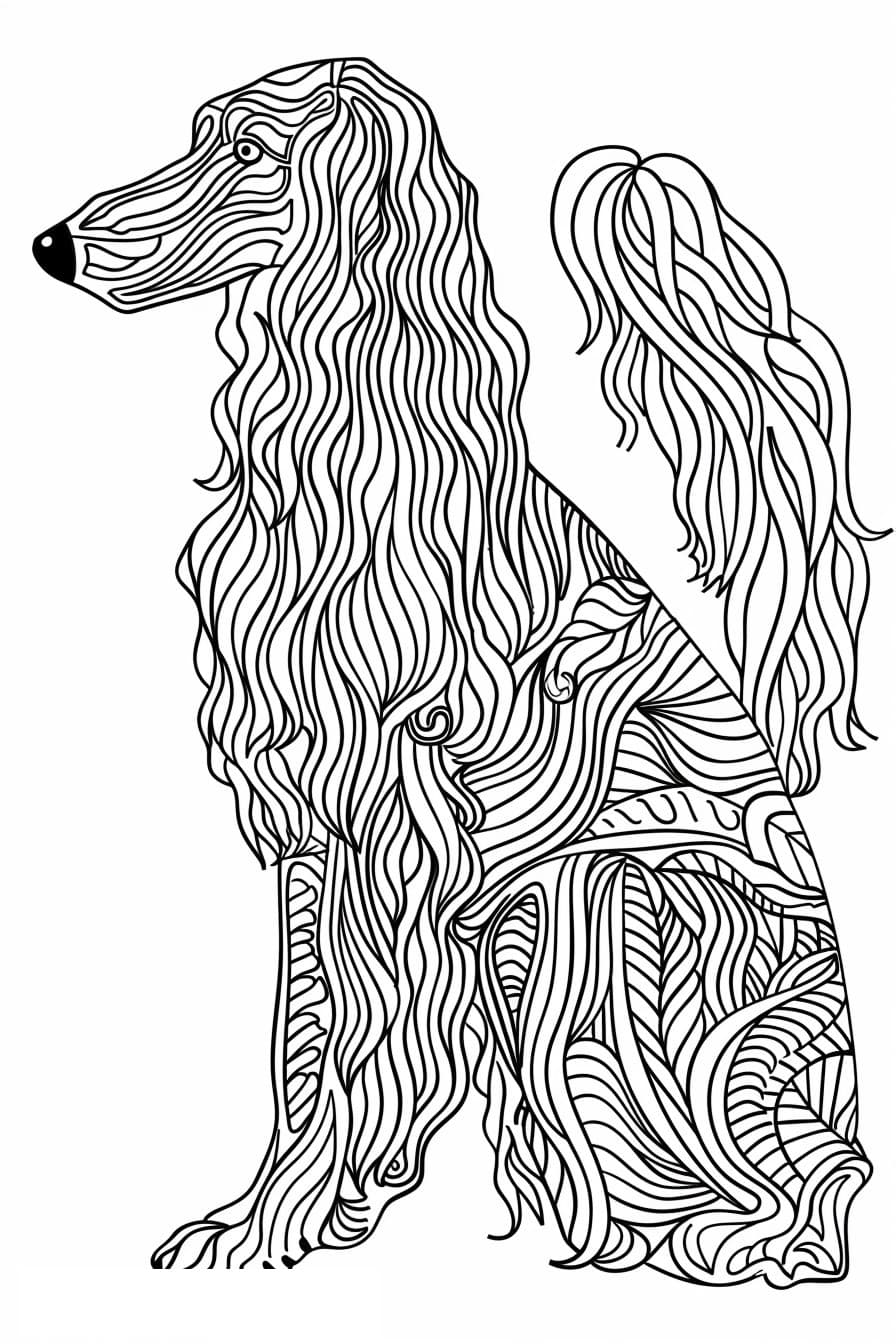 Afghan Hound cute 0