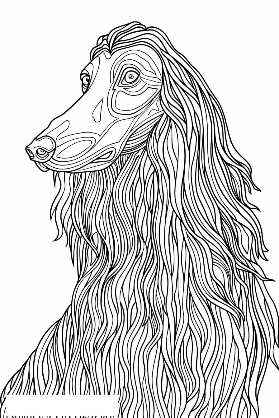 Afghan Hound cute 2