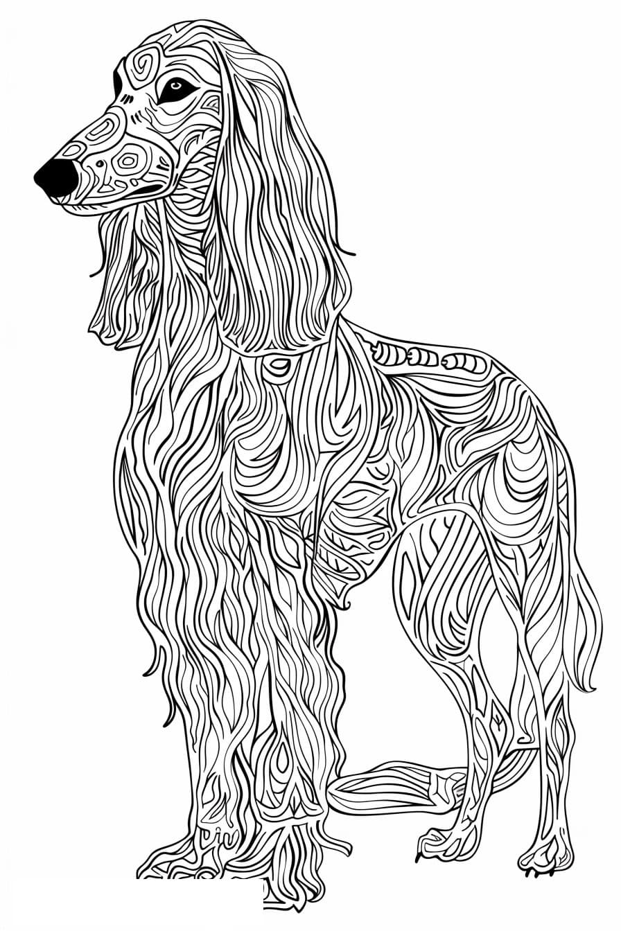 Afghan Hound Friendly 0