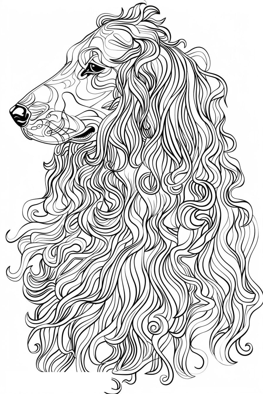 Afghan Hound Friendly 2