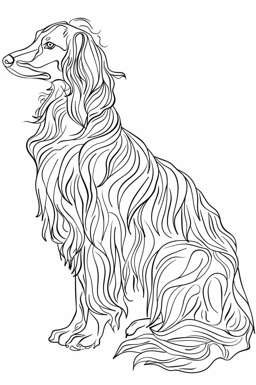 Afghan Hound full body 3