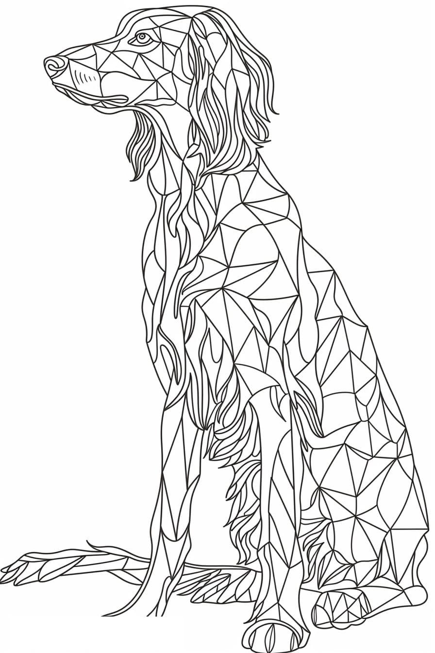 Afghan Hound happy 0