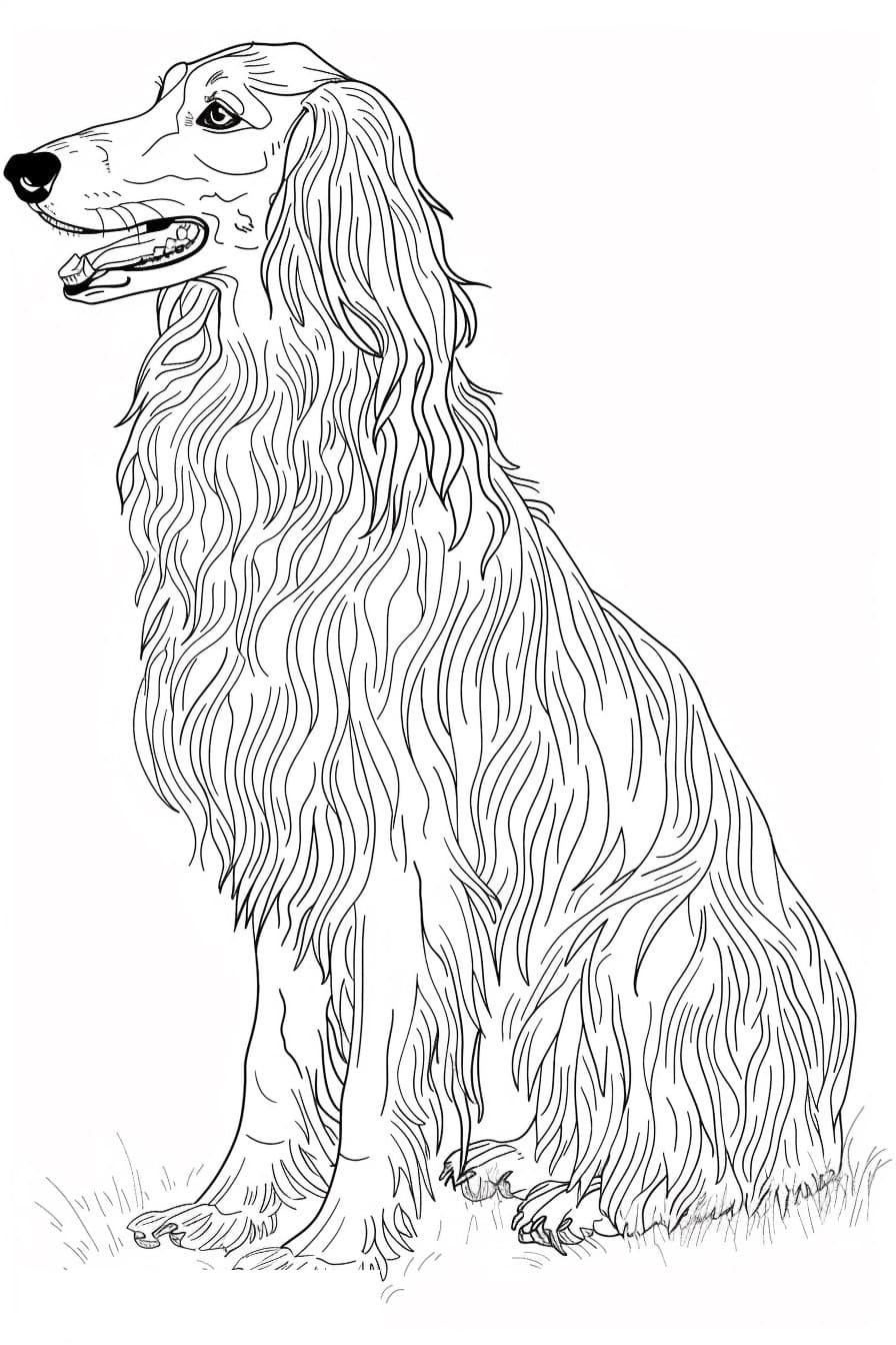 Afghan Hound Kawaii 3