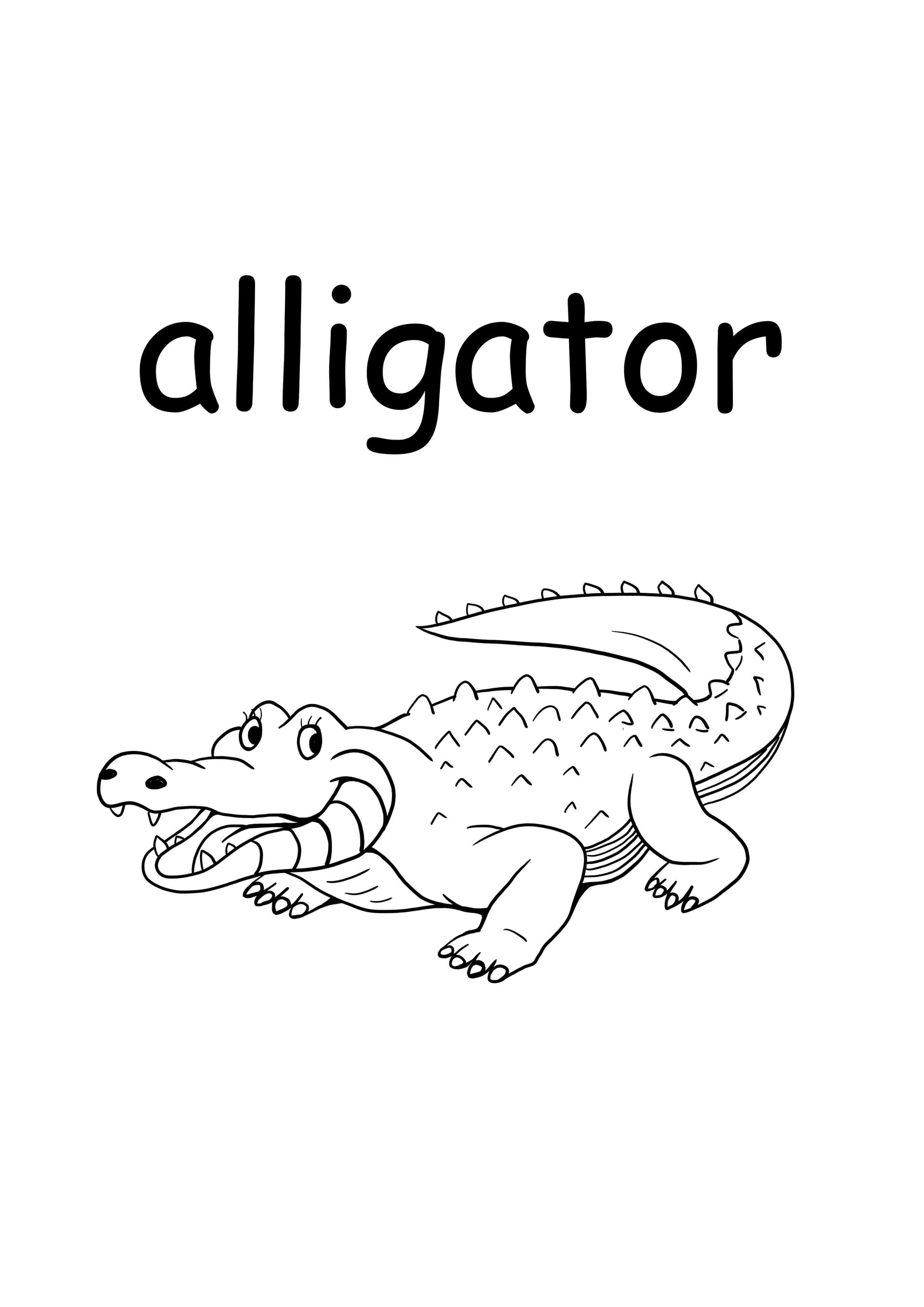 a -alligator