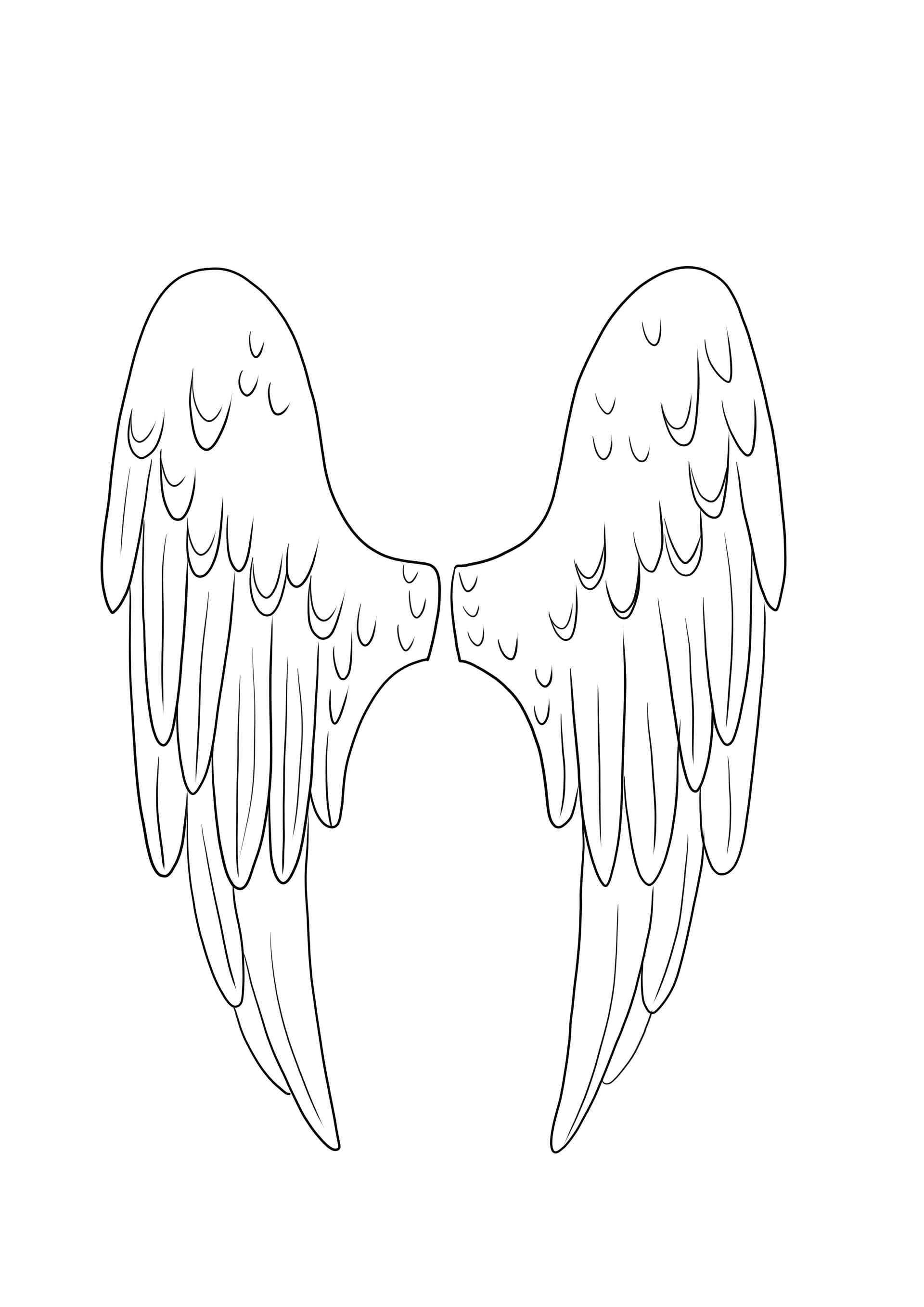 Angel wings