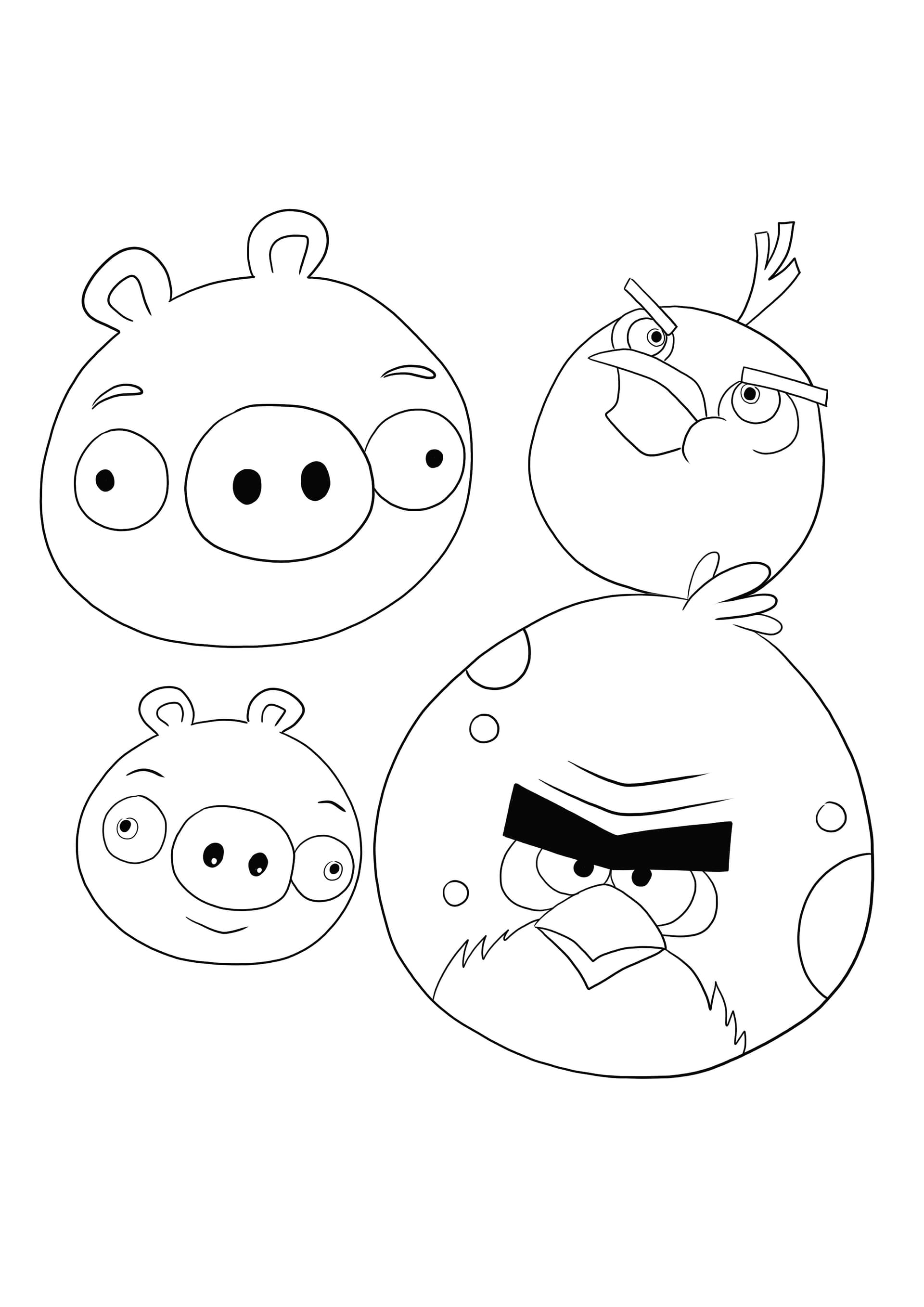 Angry Birds