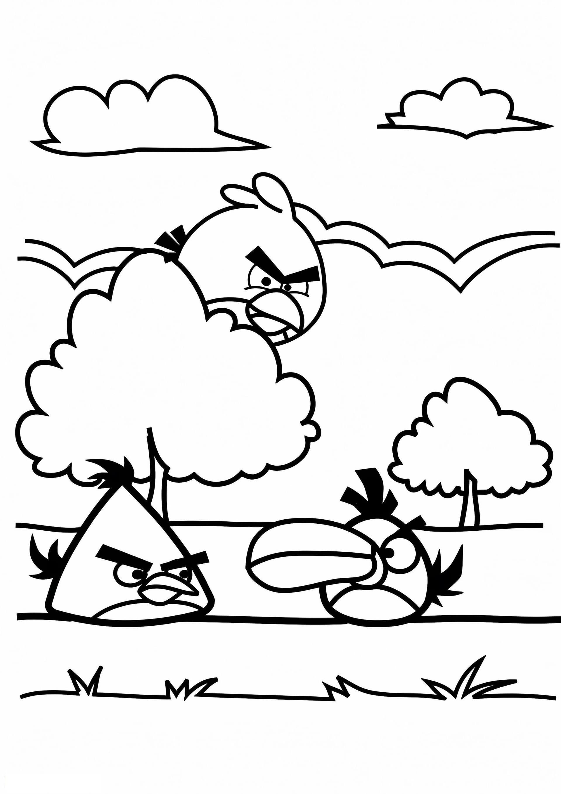 Angry Birds Playing Near A Tree