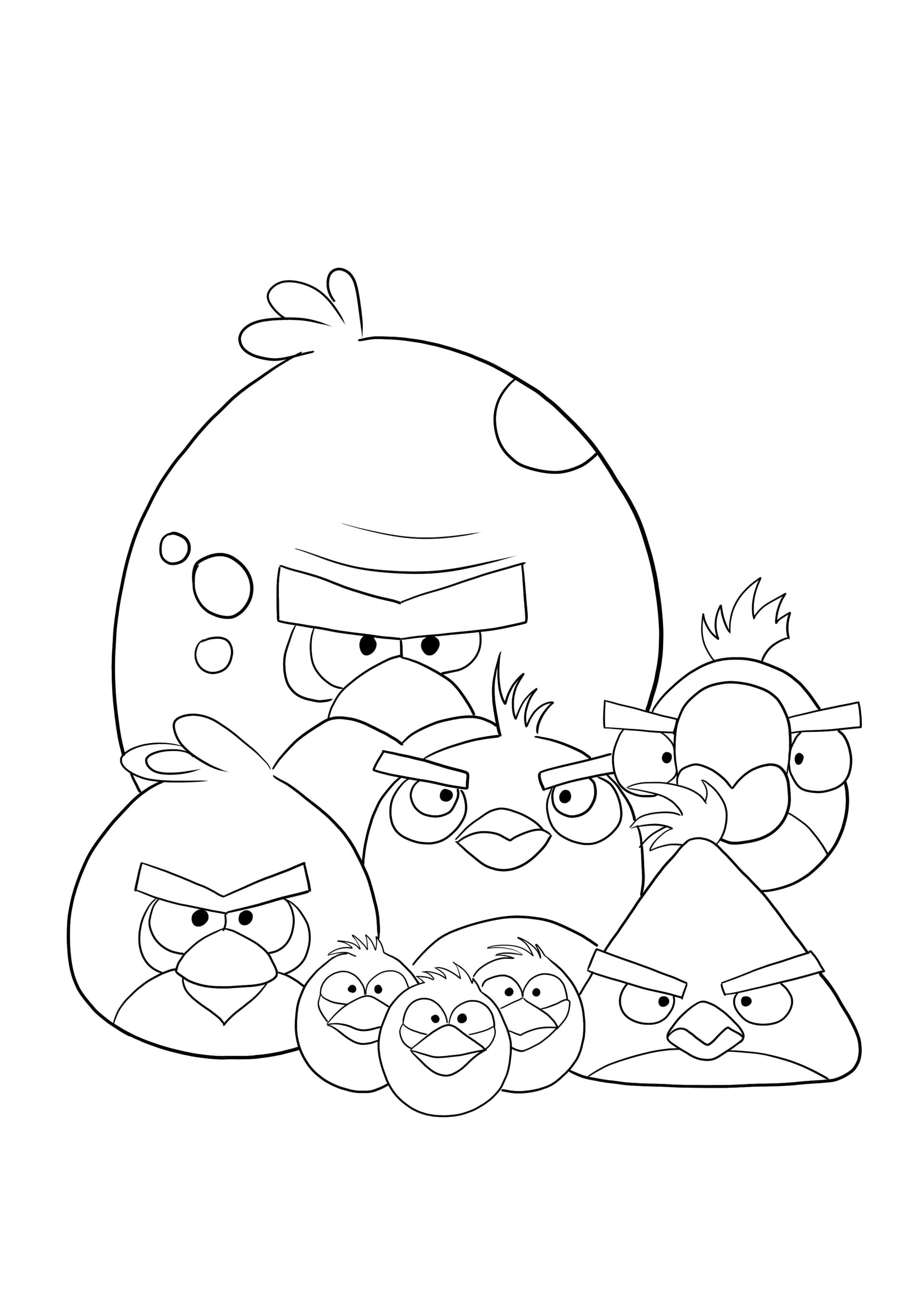 Angry birds - the flock