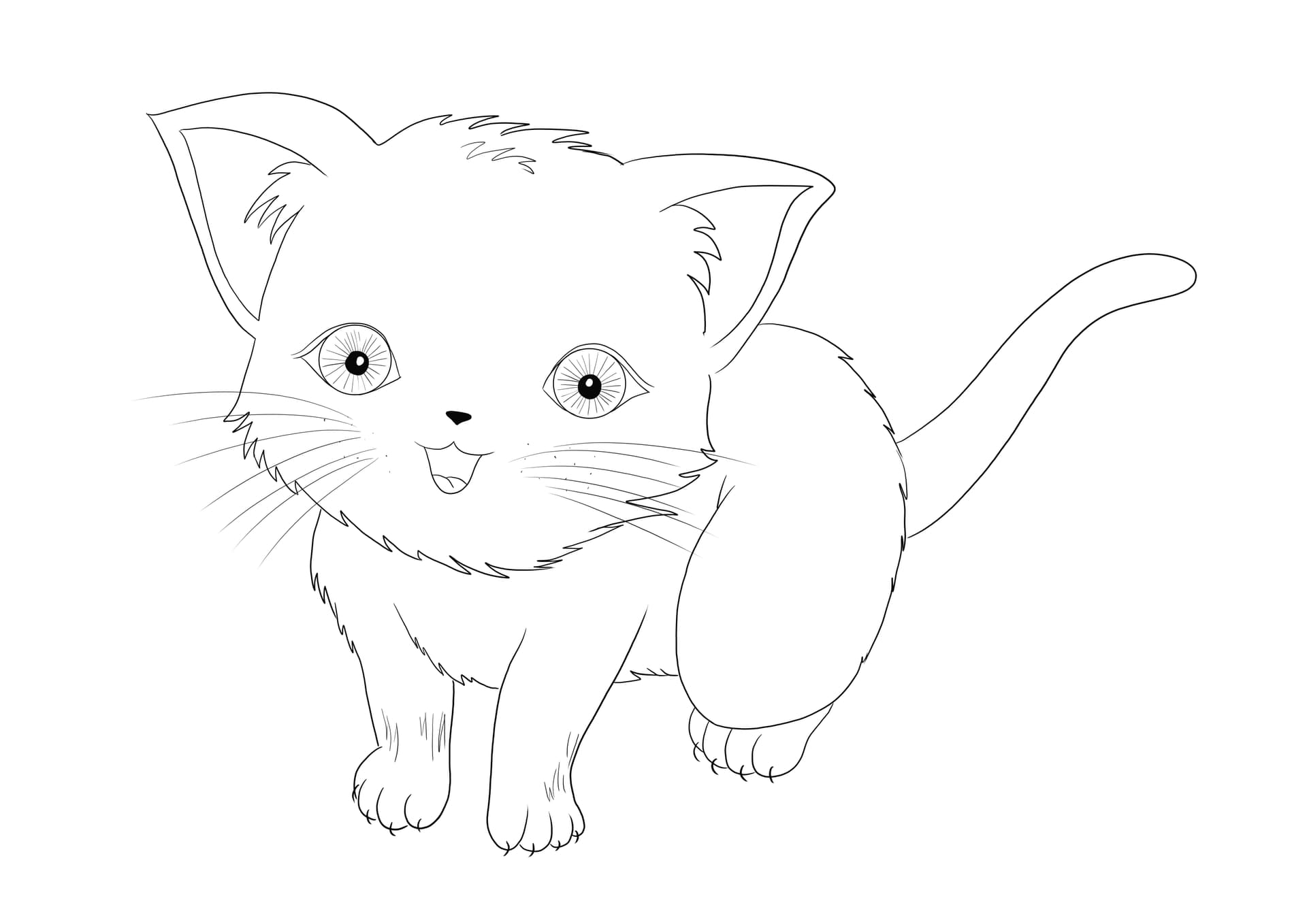 Anime cat