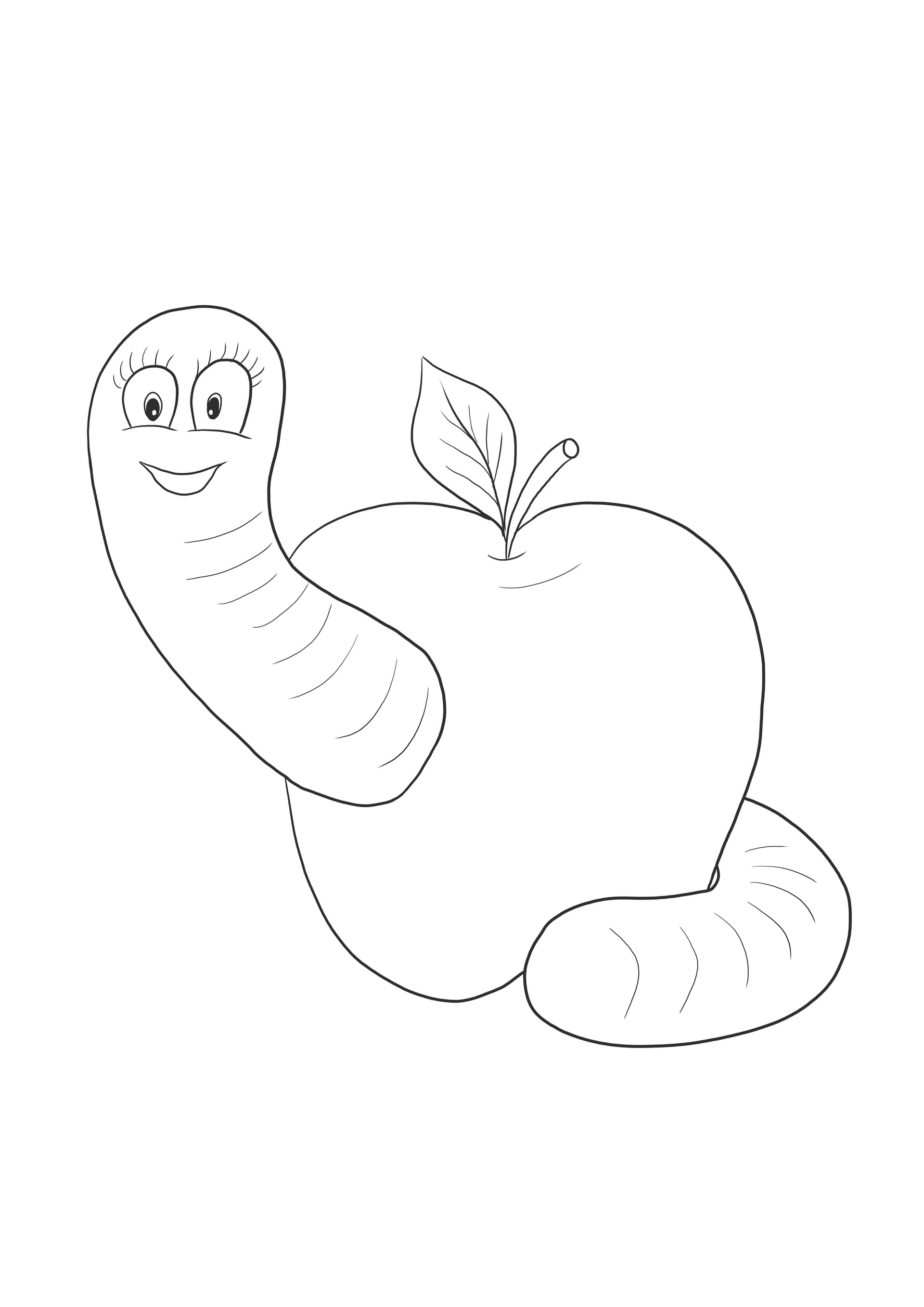 Apple worm