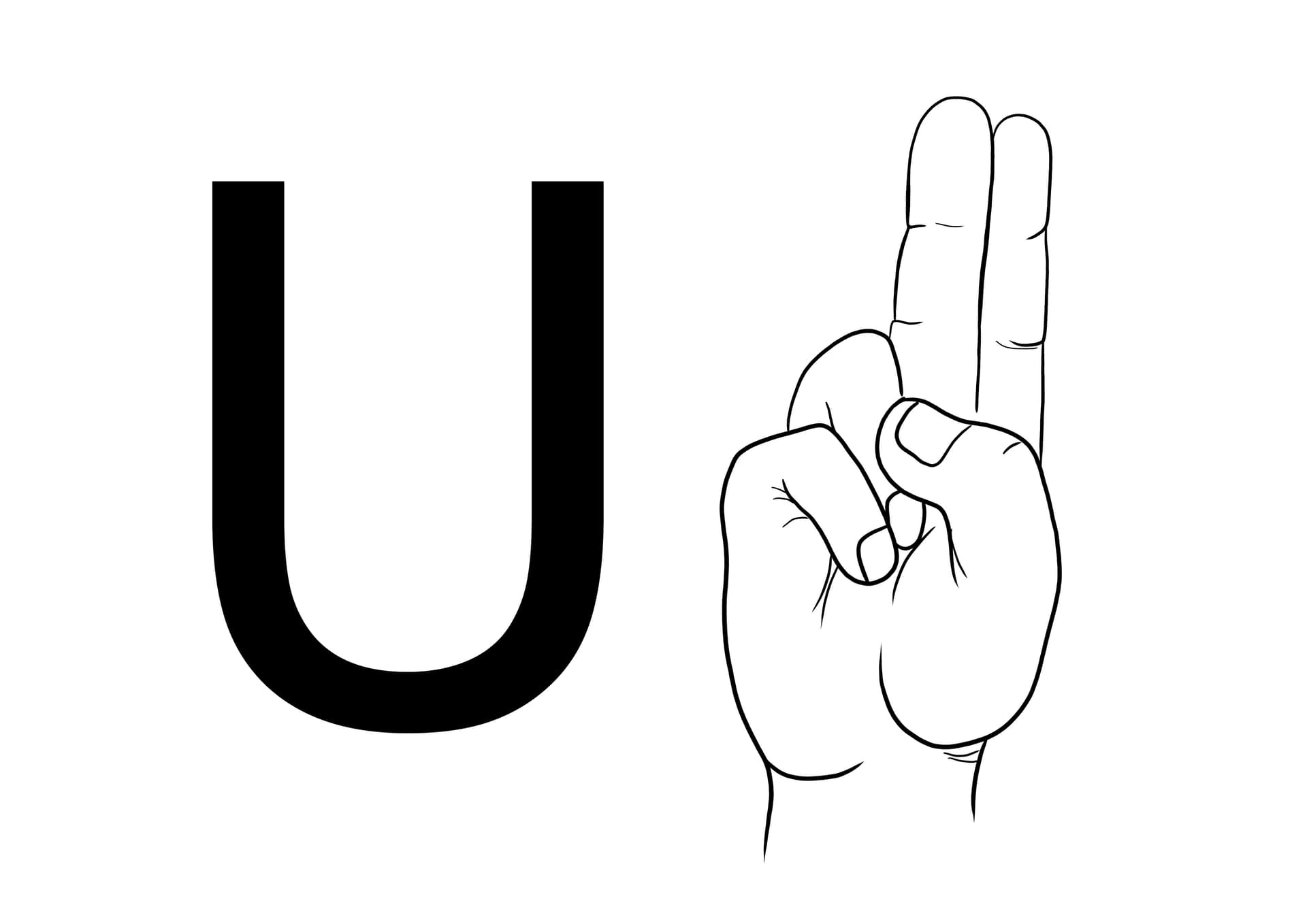 ASL Sign Language Letter U