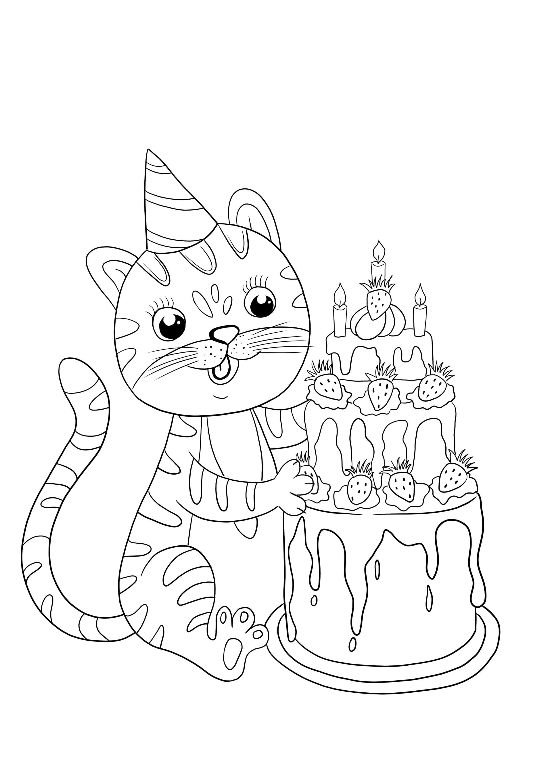 Birthday cat