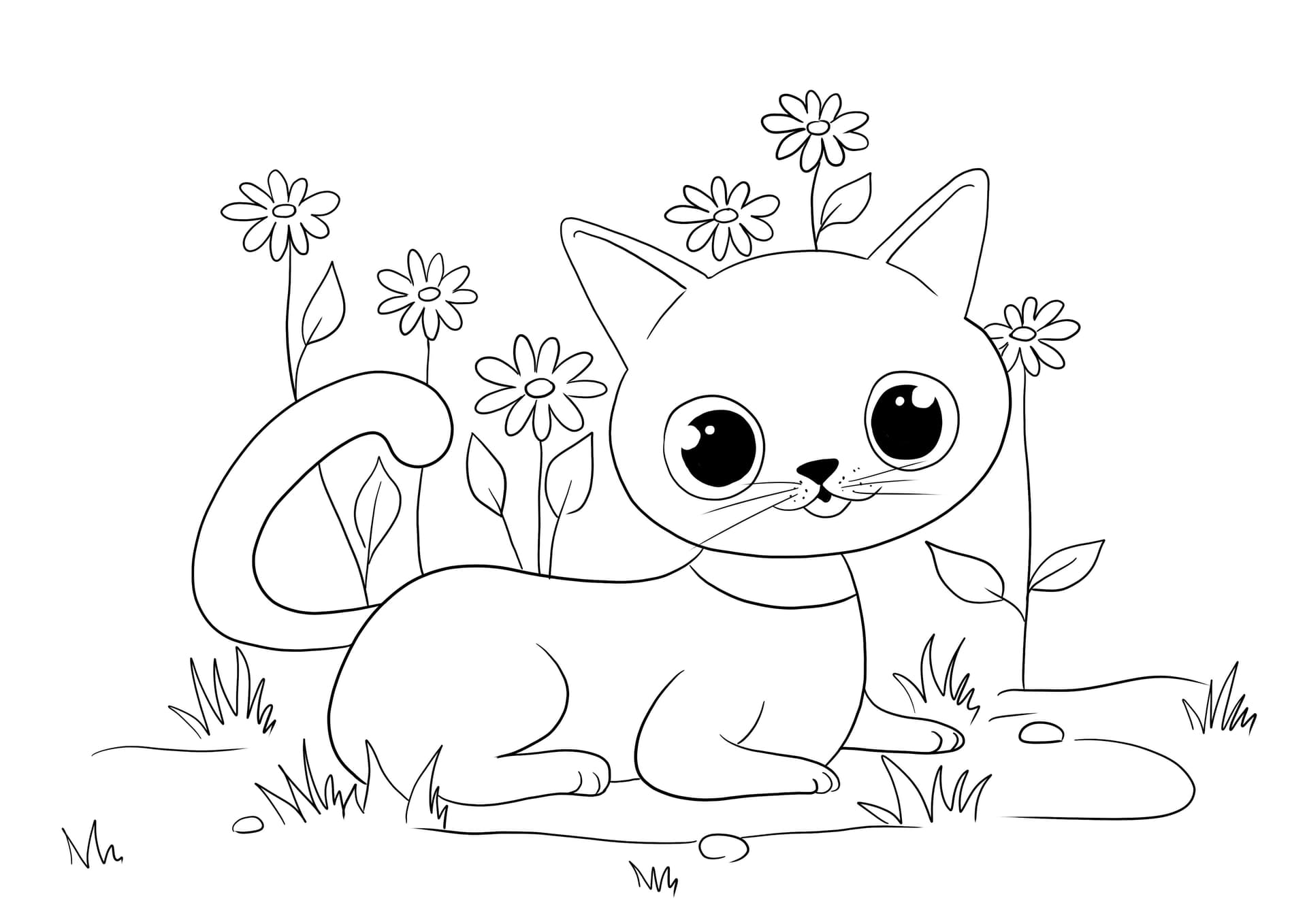 Black-eyed cat