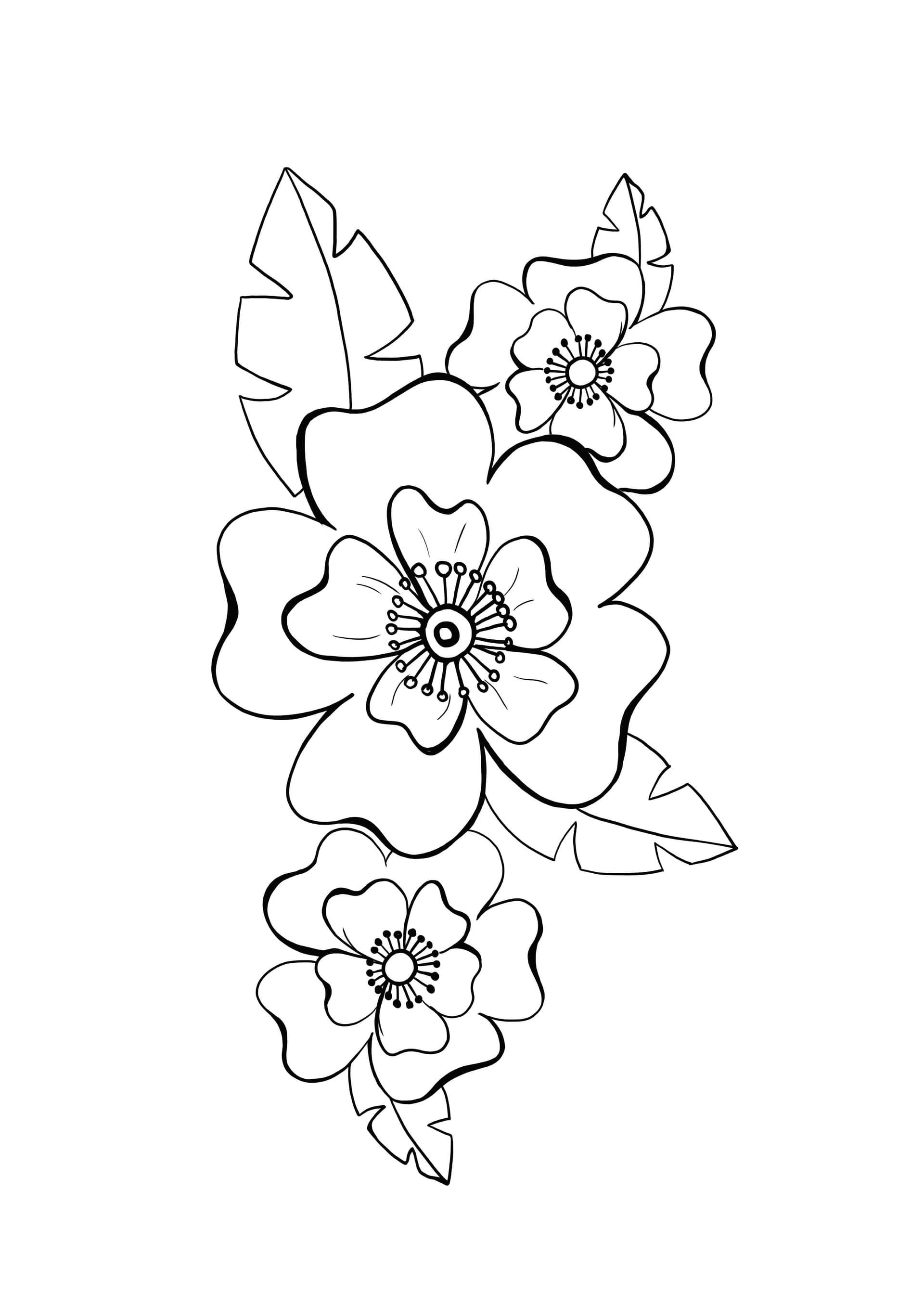 blossom of exotic flower