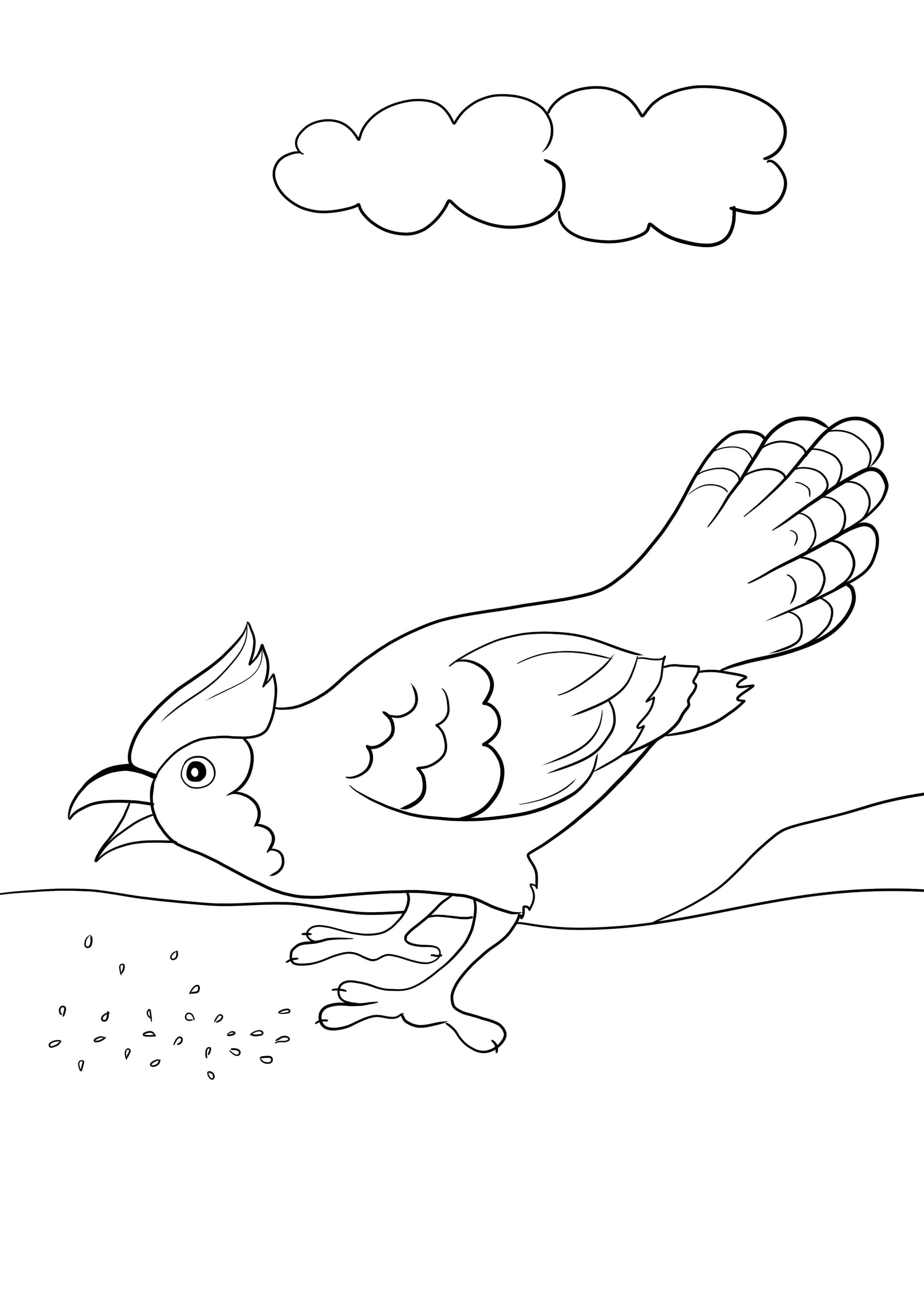 Blue jay bird