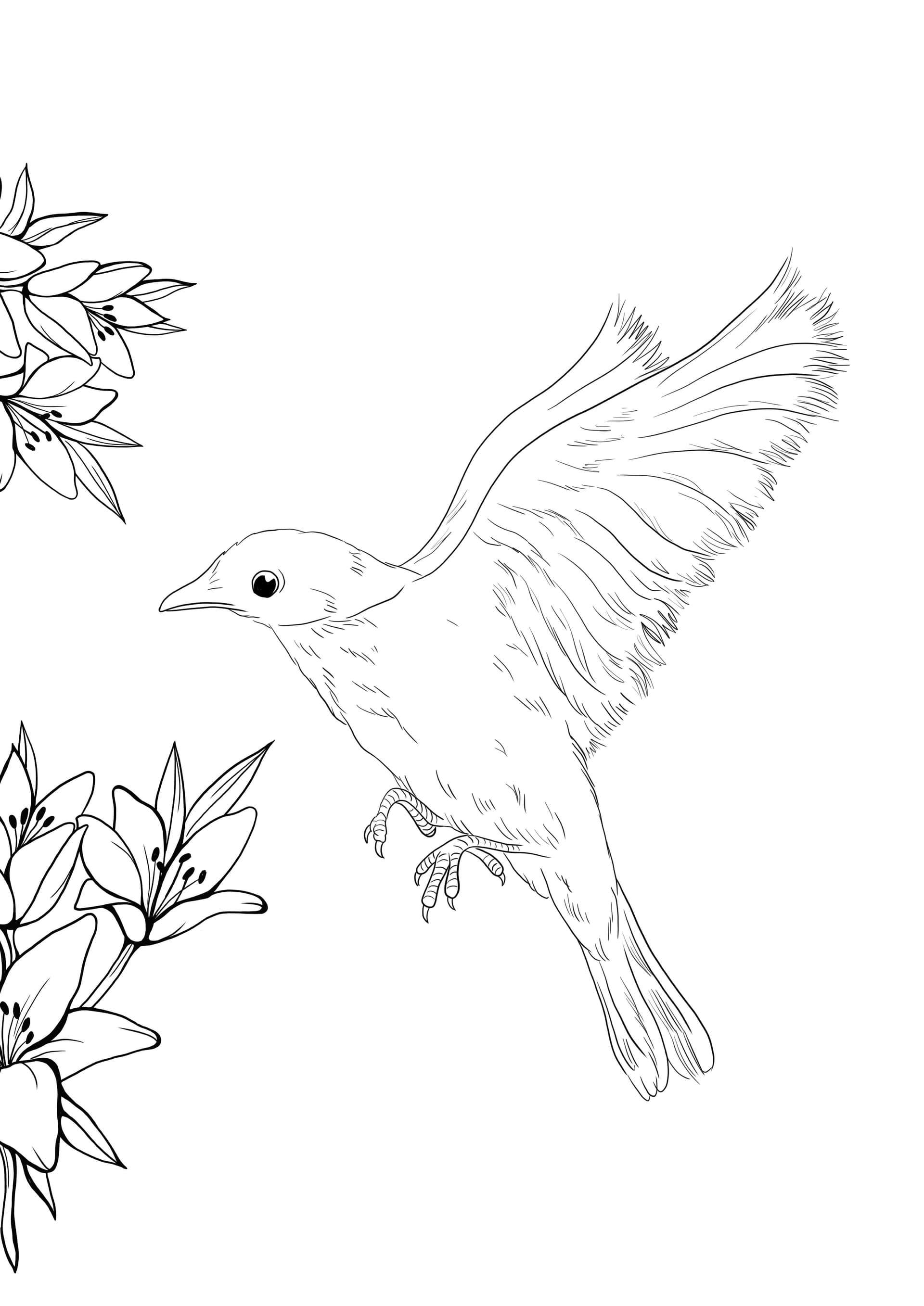 Bluebird