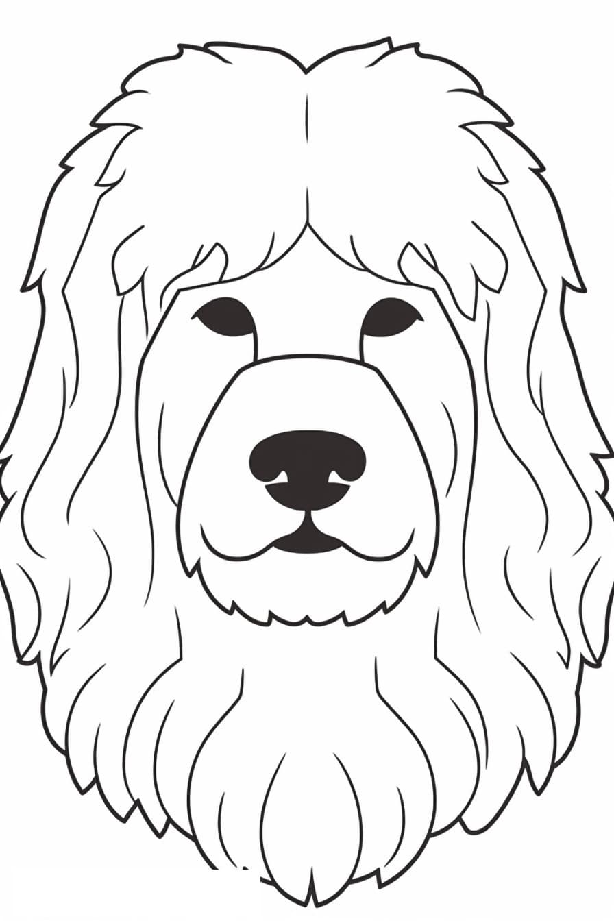 Bolognese Dog face 1