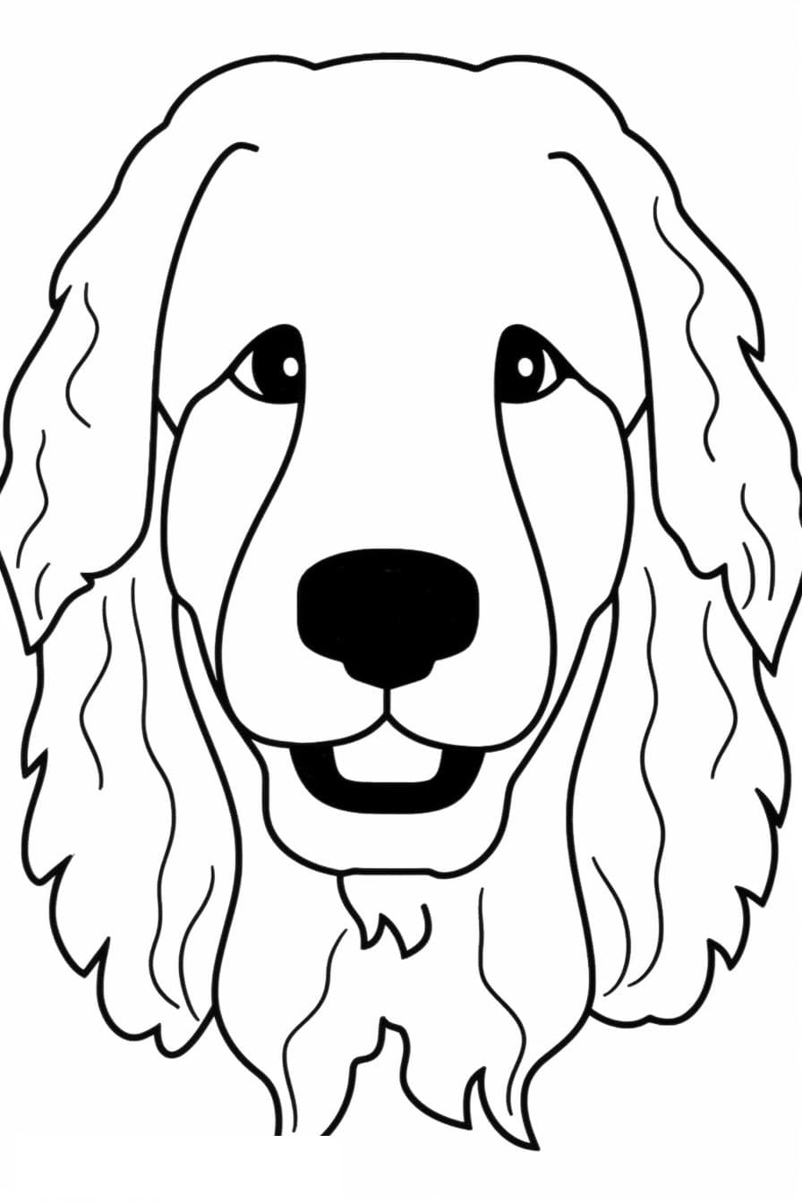 Bolognese Dog face 2
