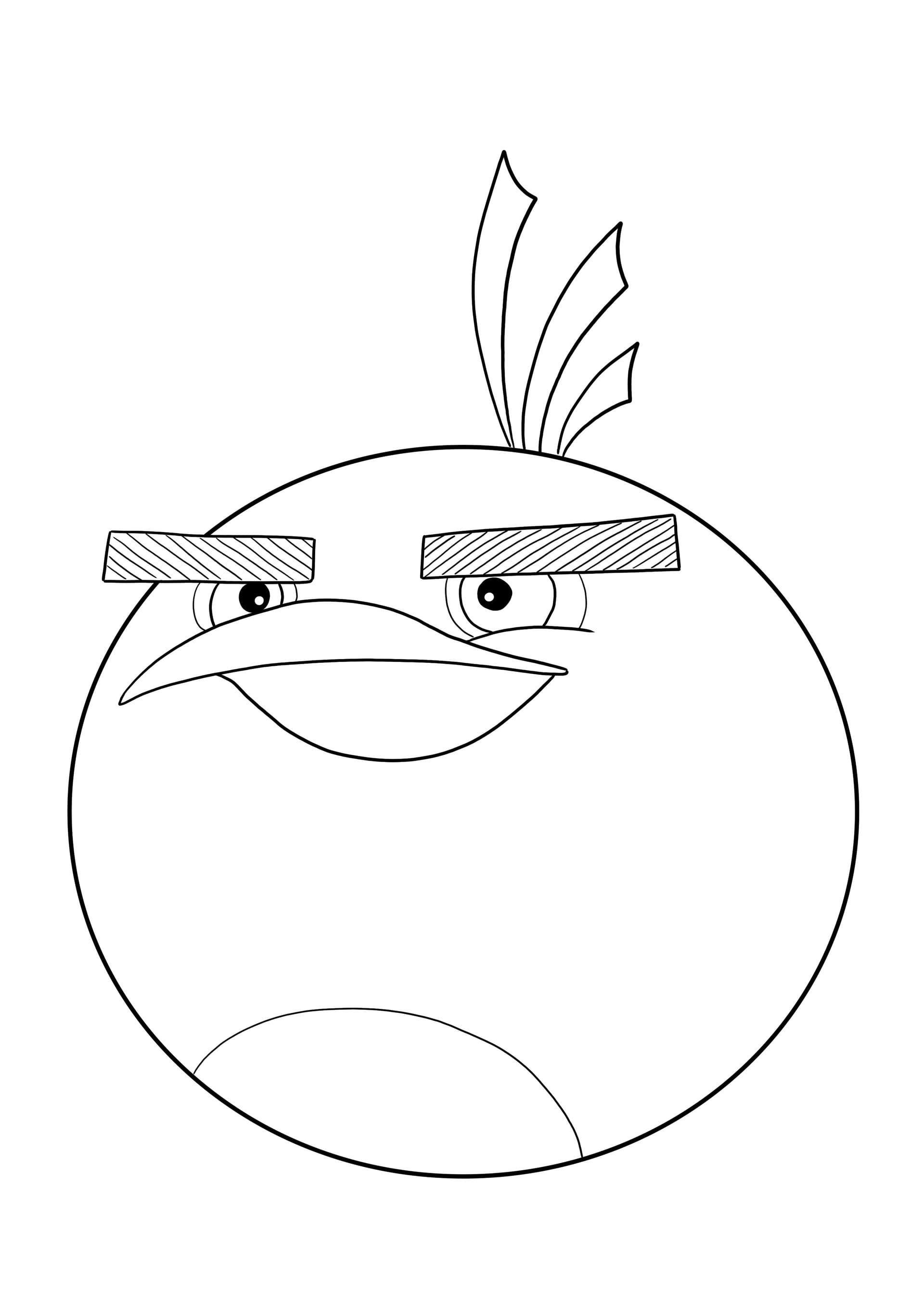 Bomb from Angry Birds
