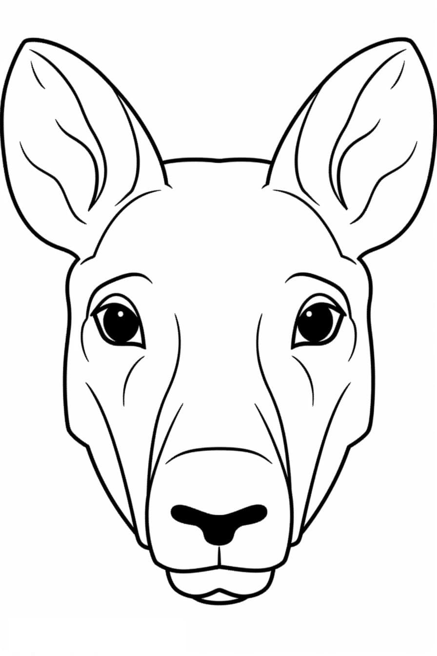 Bongo face 2