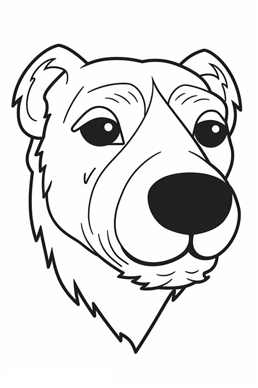Border Terrier face 1
