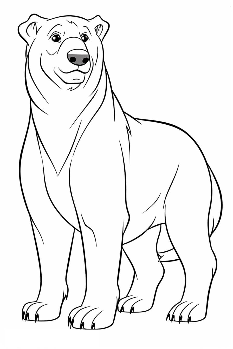 Borkie full body 1