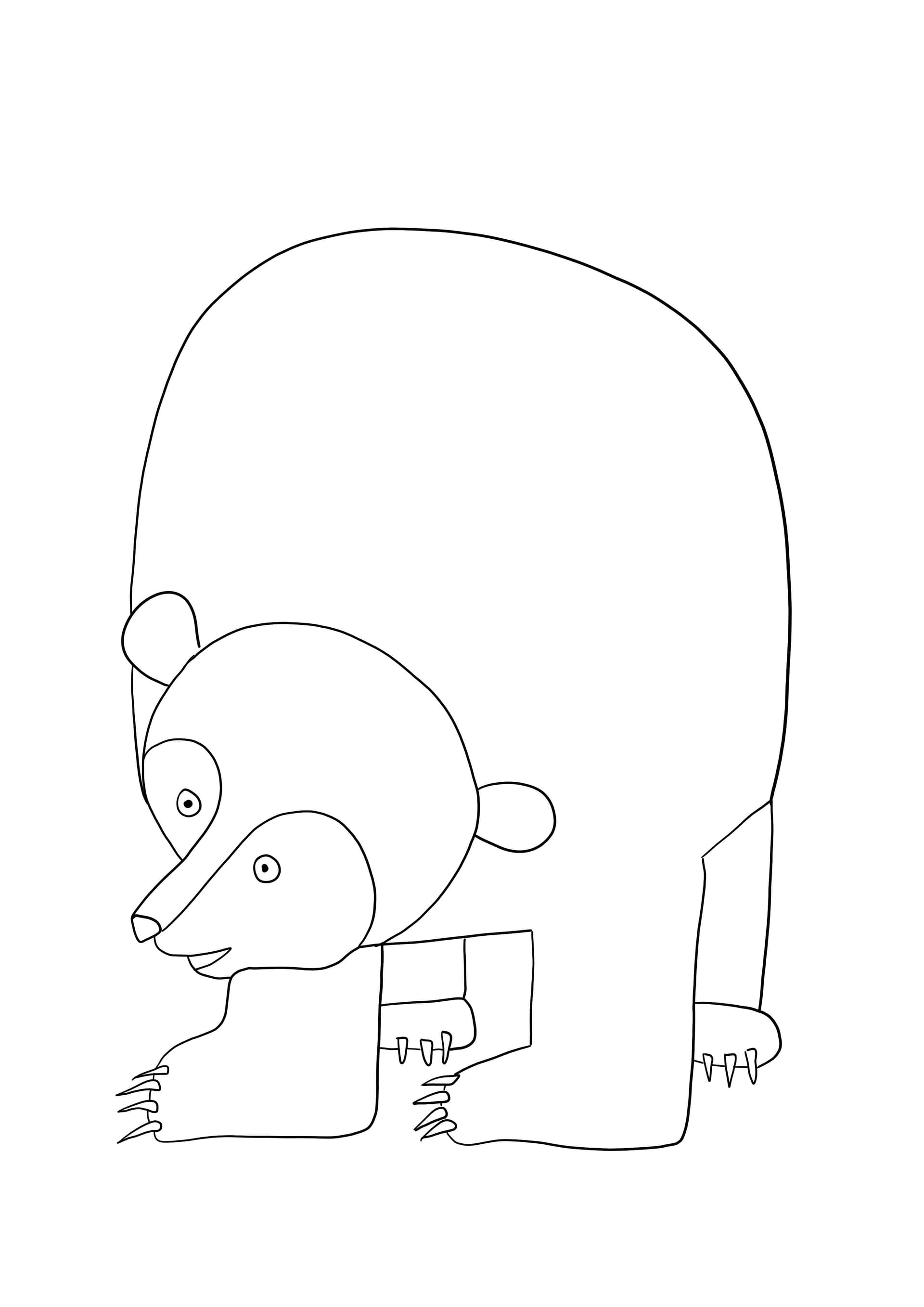 Brown bear