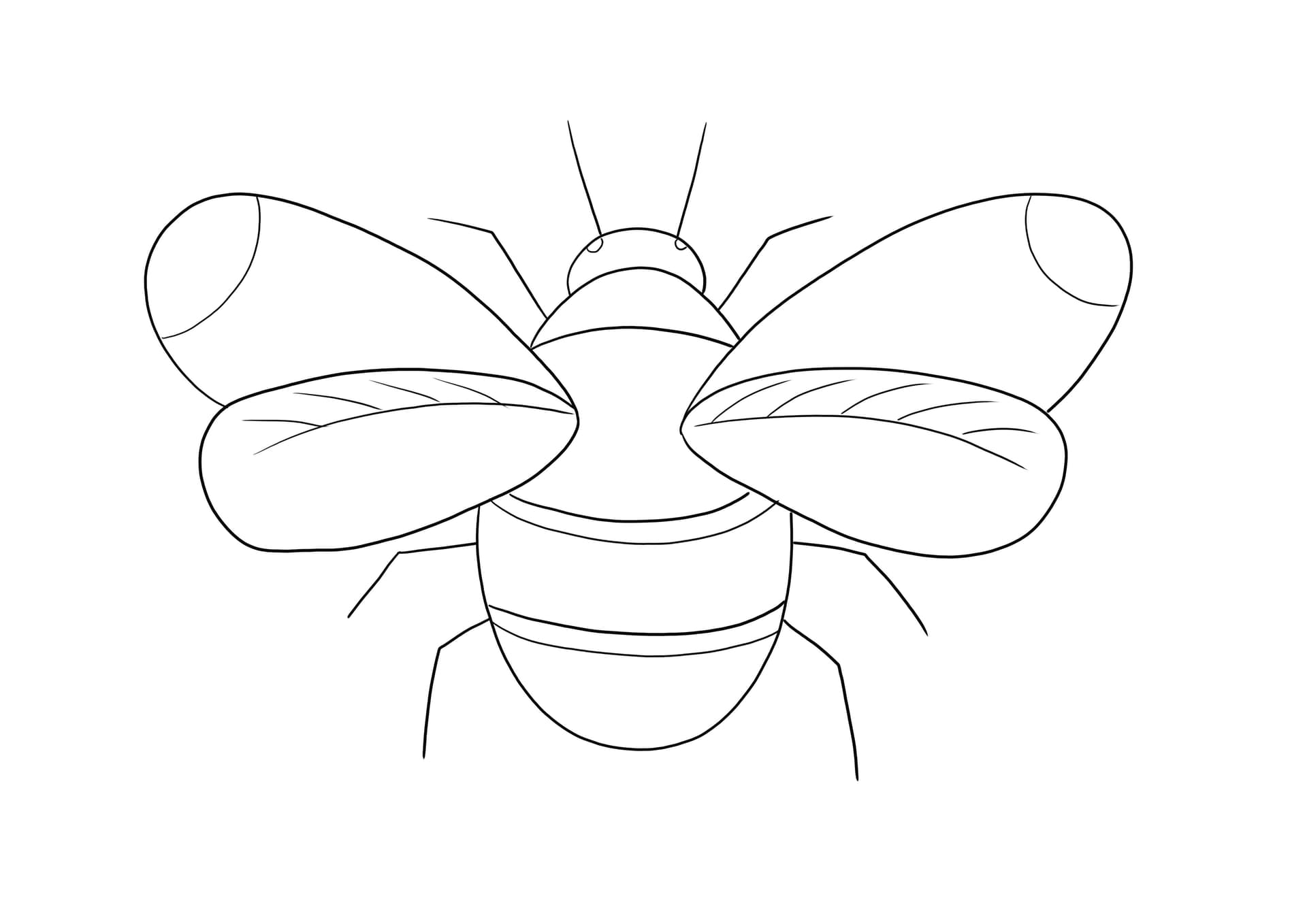 Bumblebee