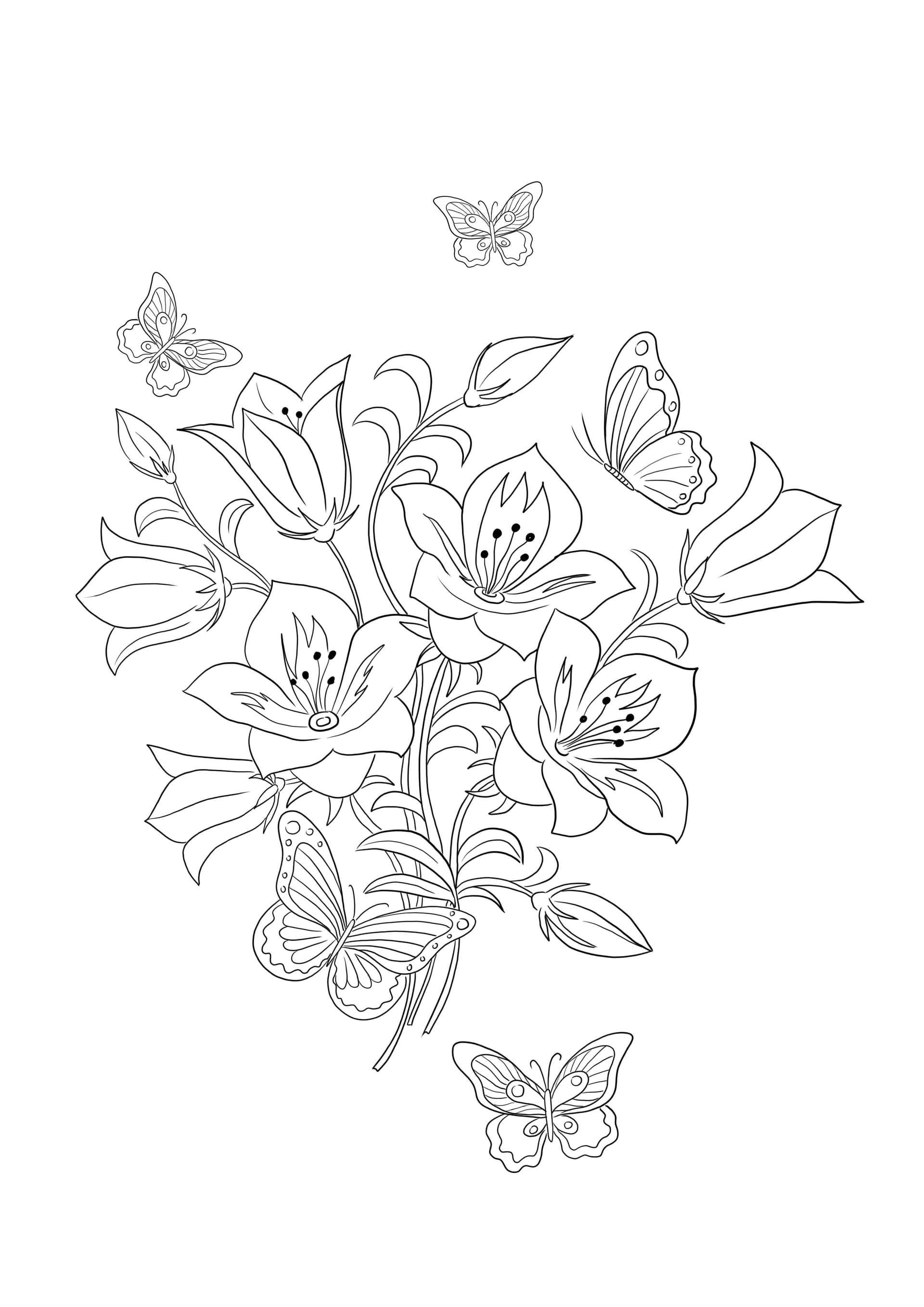 Butterfly and Flowers