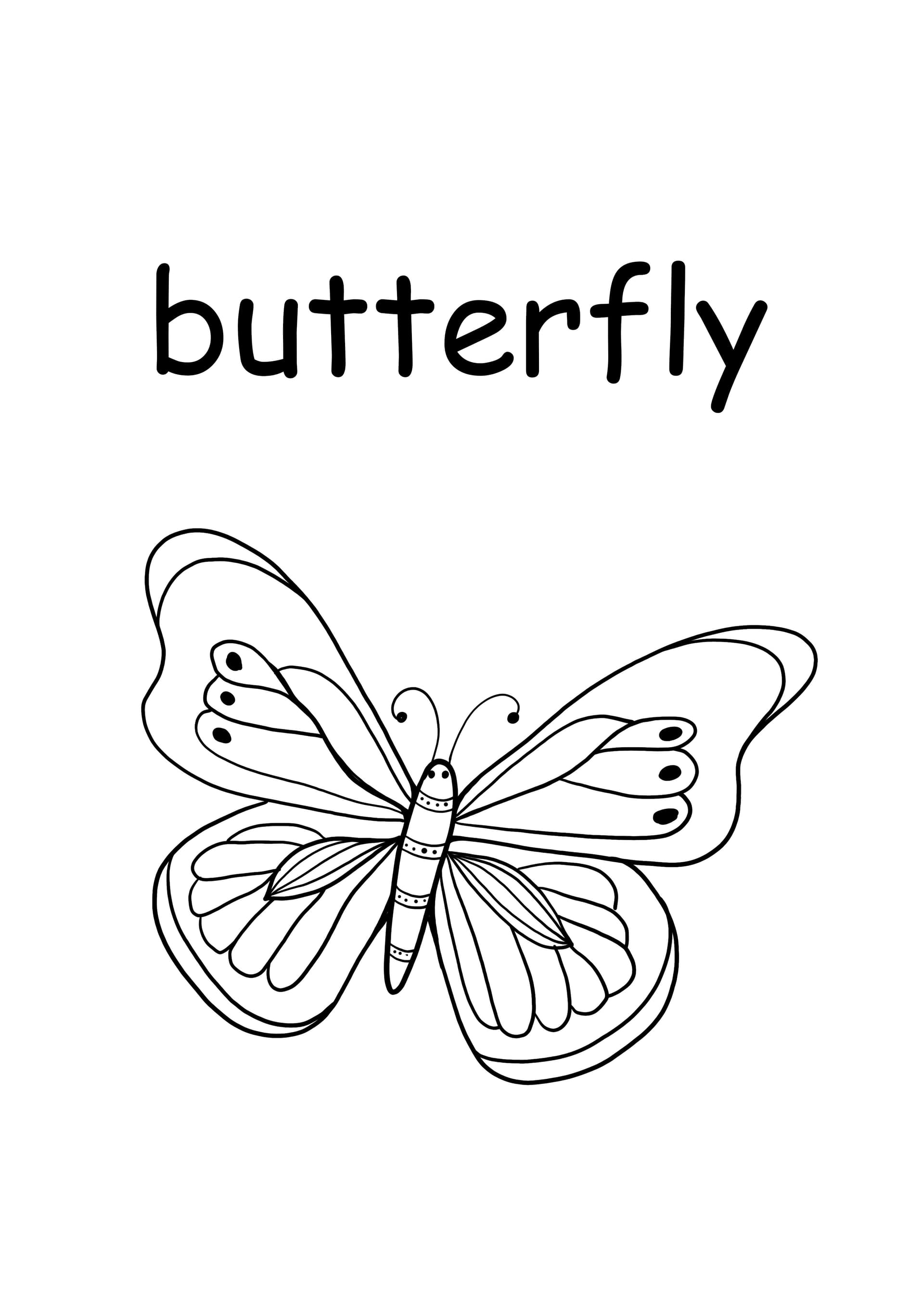 b - butterfly