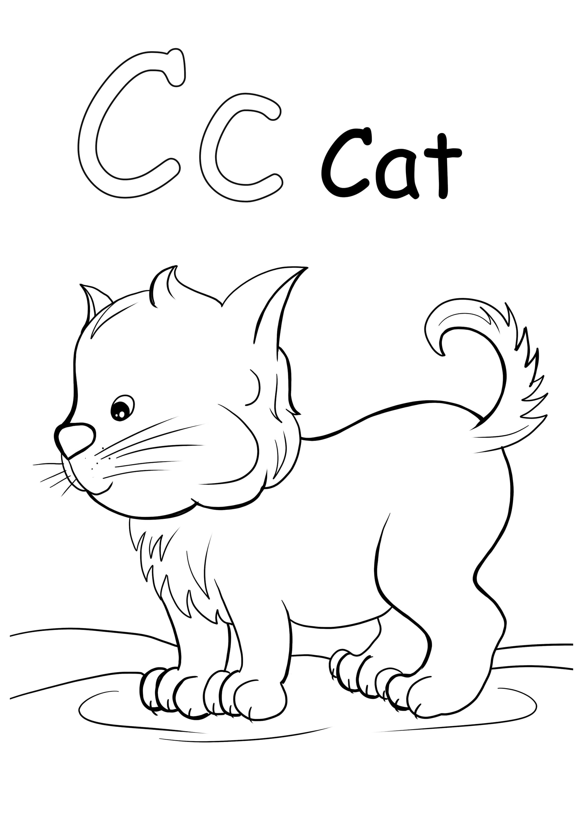 C is for cat
