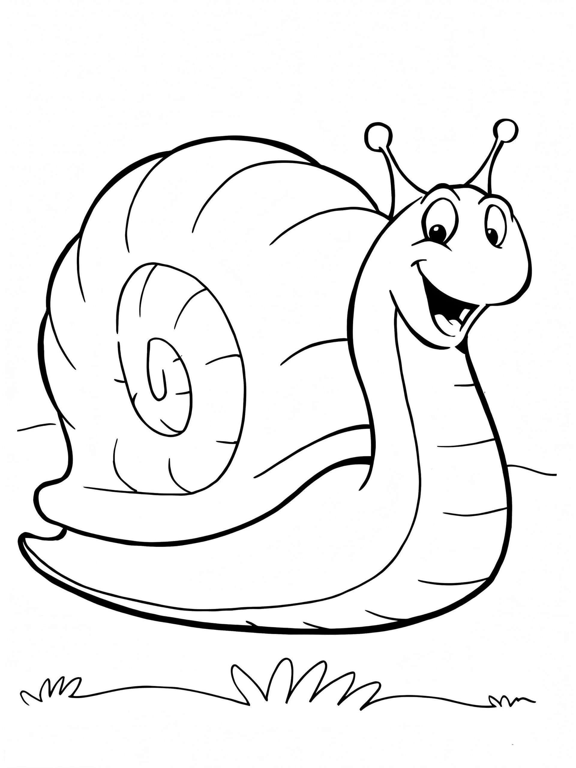 Snail Bob