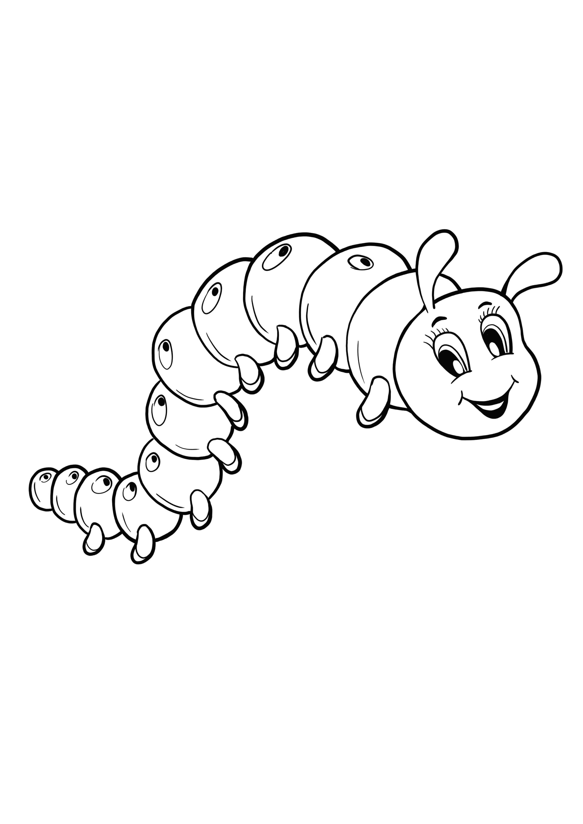 caterpillar