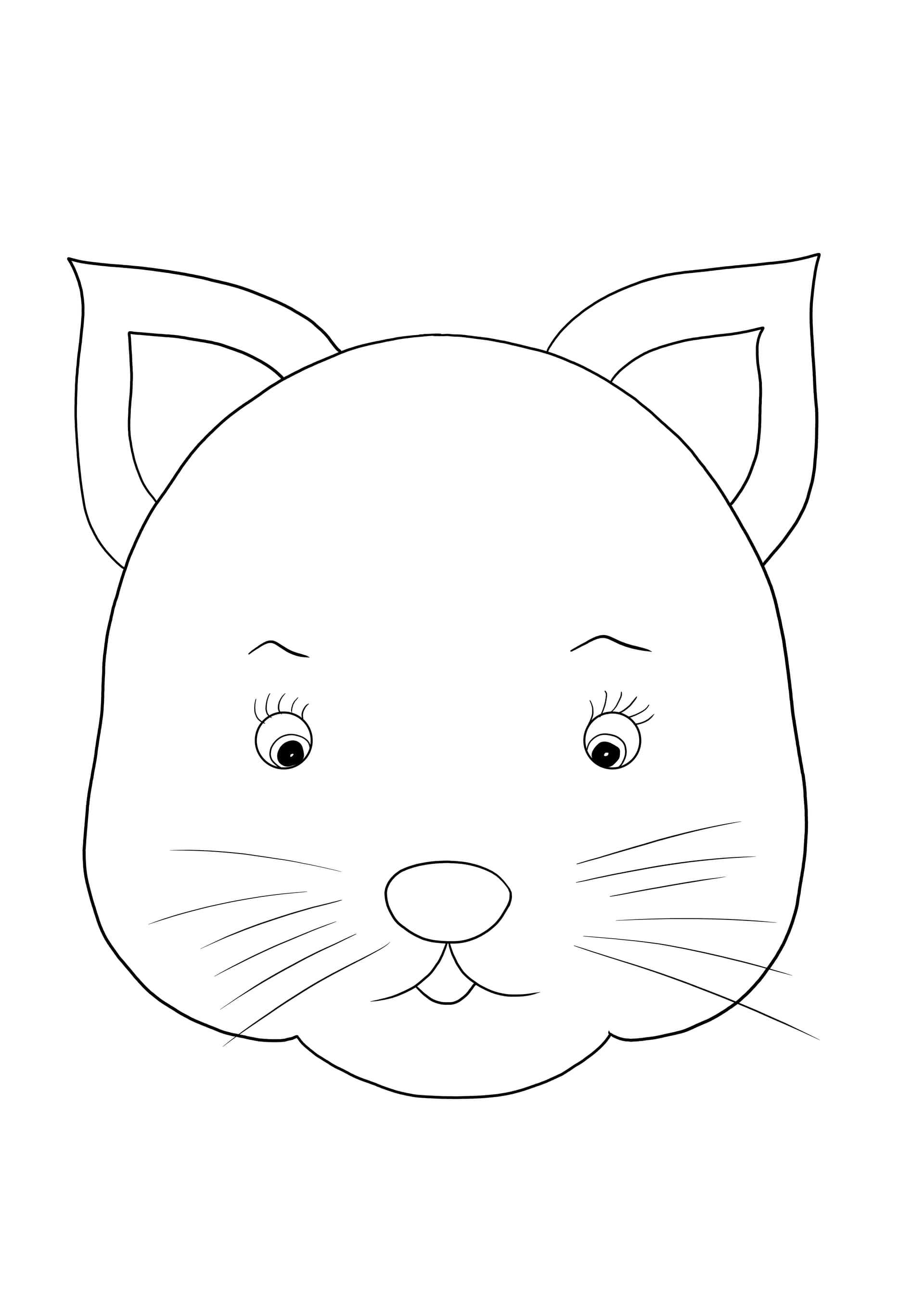 Cat's face