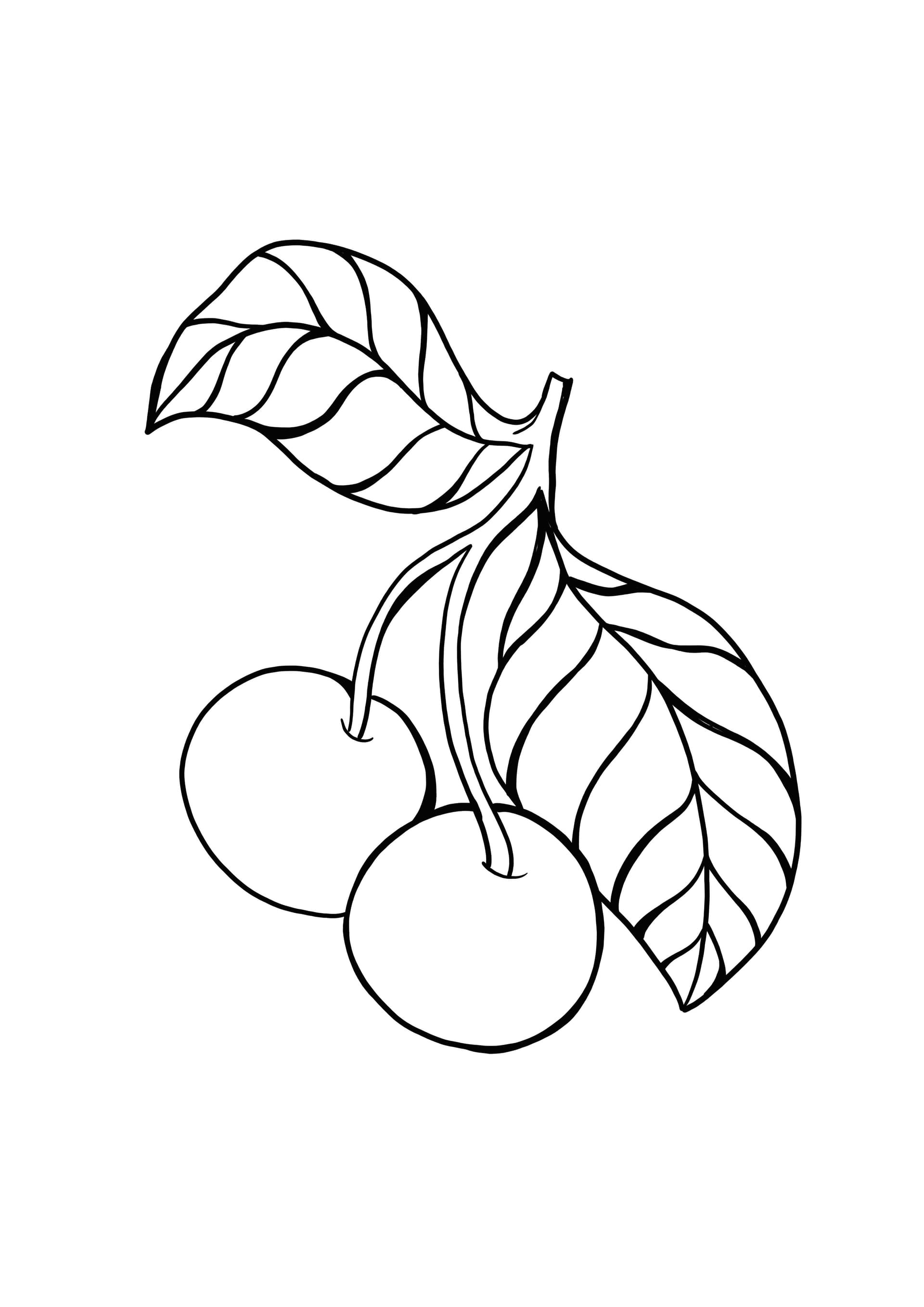 cherries