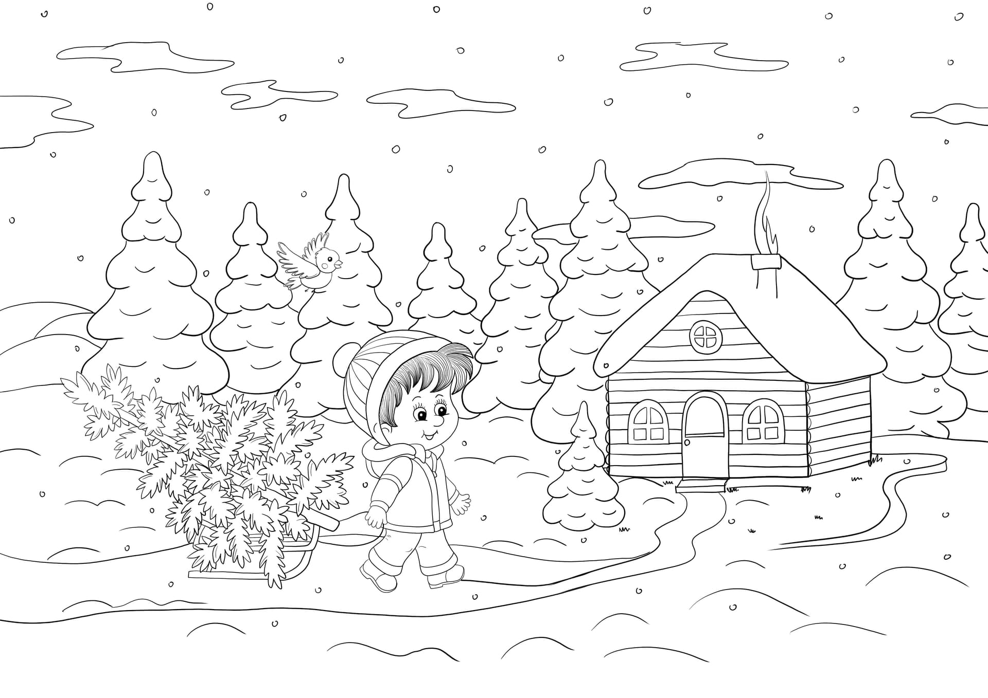 Boy carrying a Christmas tree on a sledge