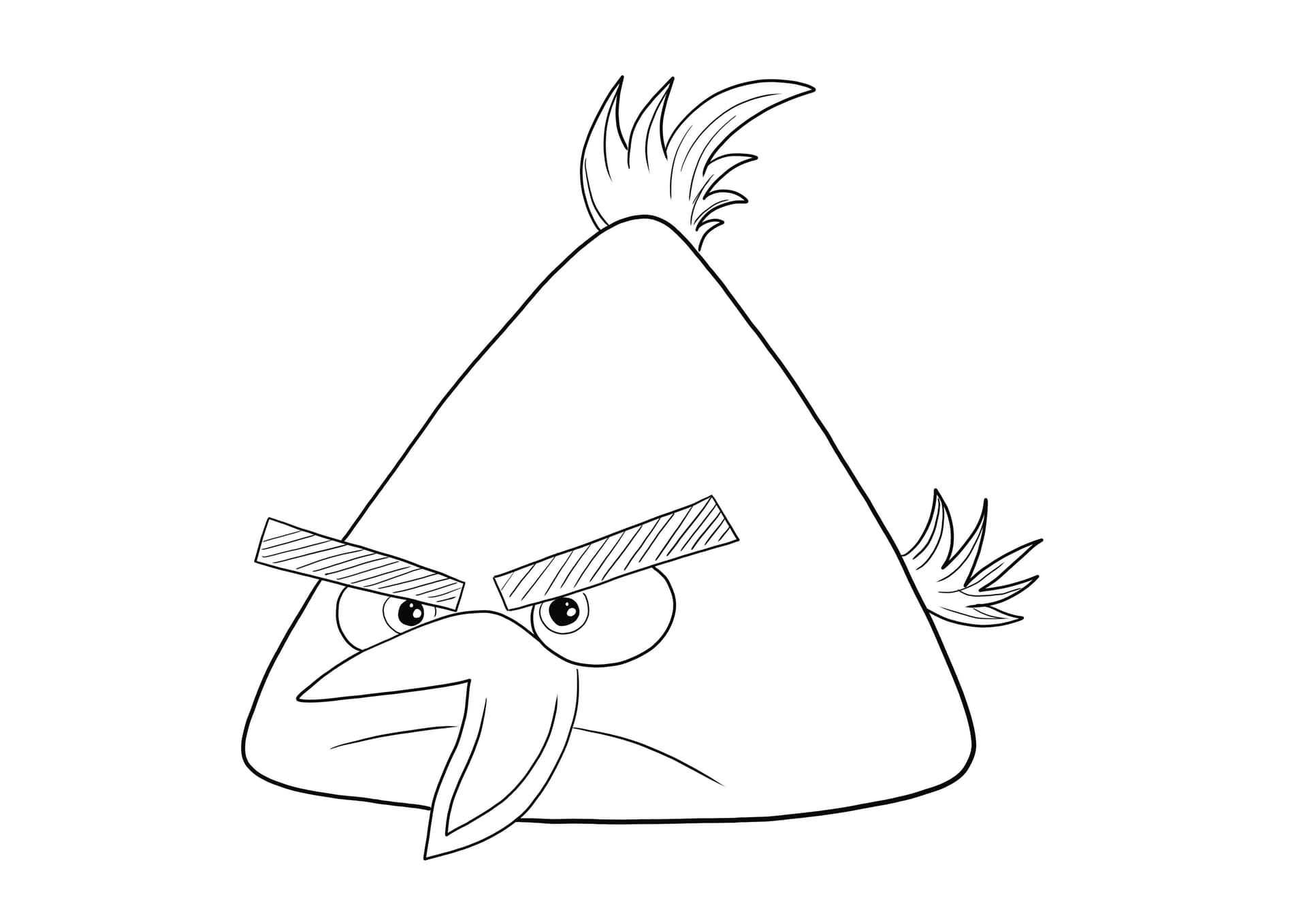 Chuck the Yellow Bird