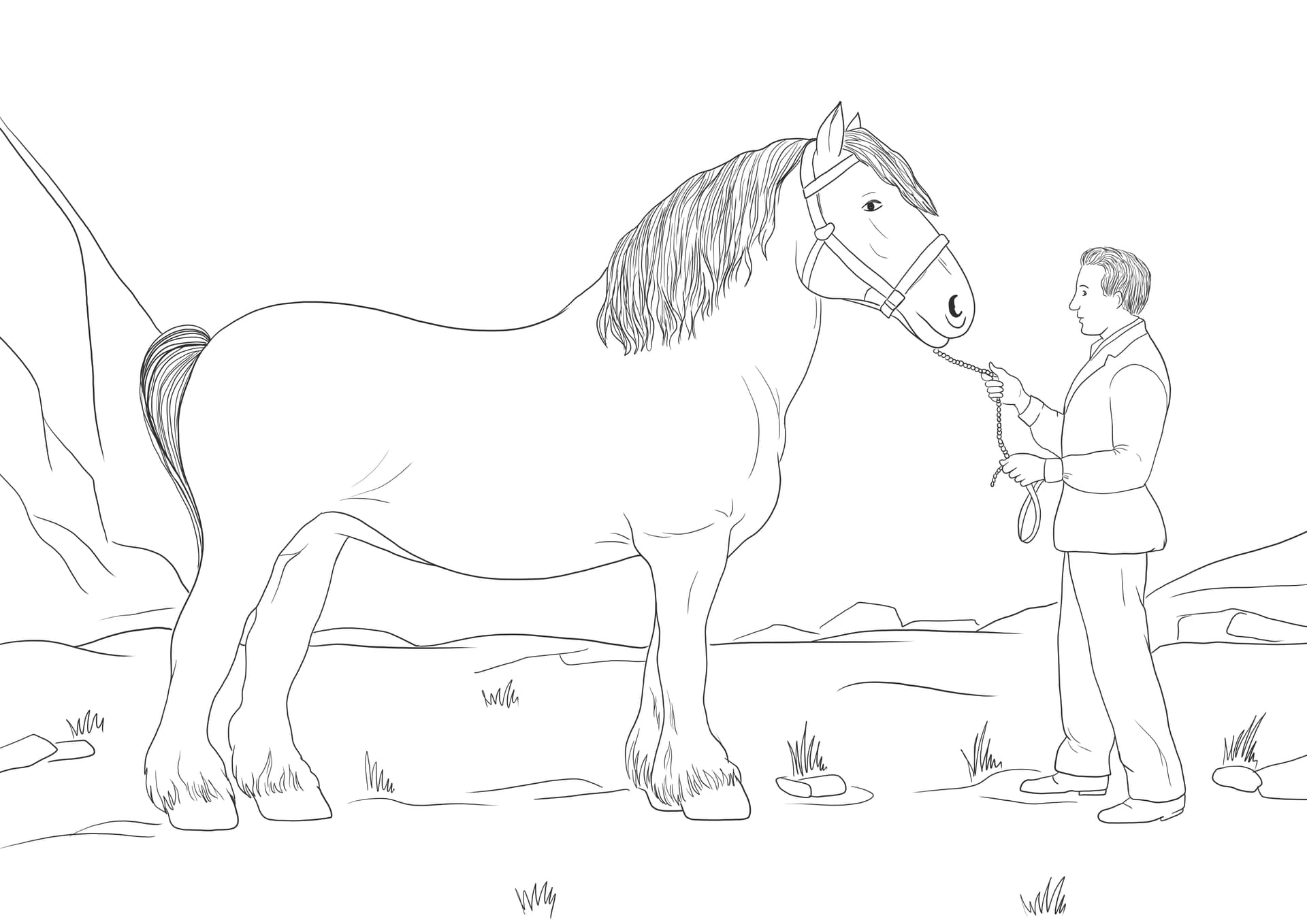 Clydesdale Horse