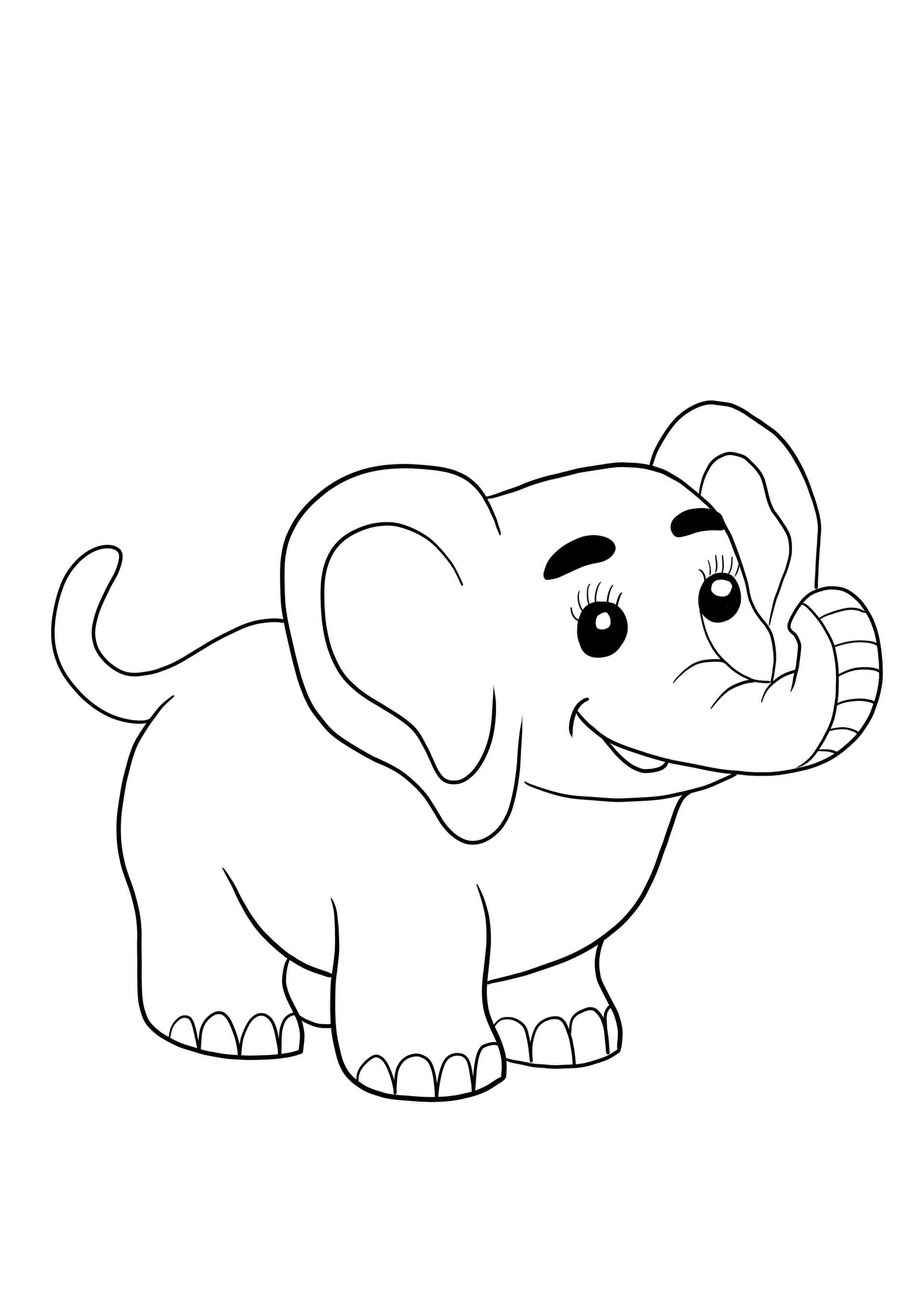 Cute baby elephant