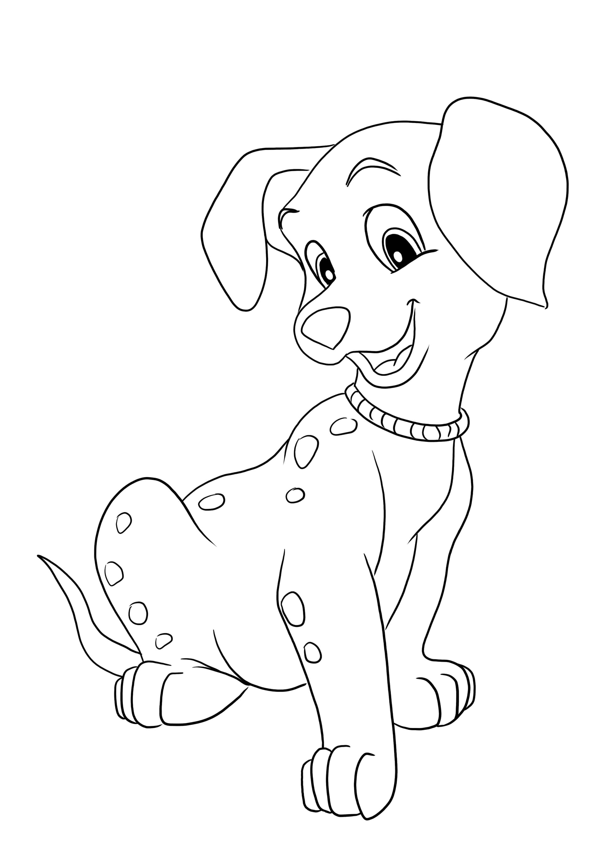 Cute Dalmatian