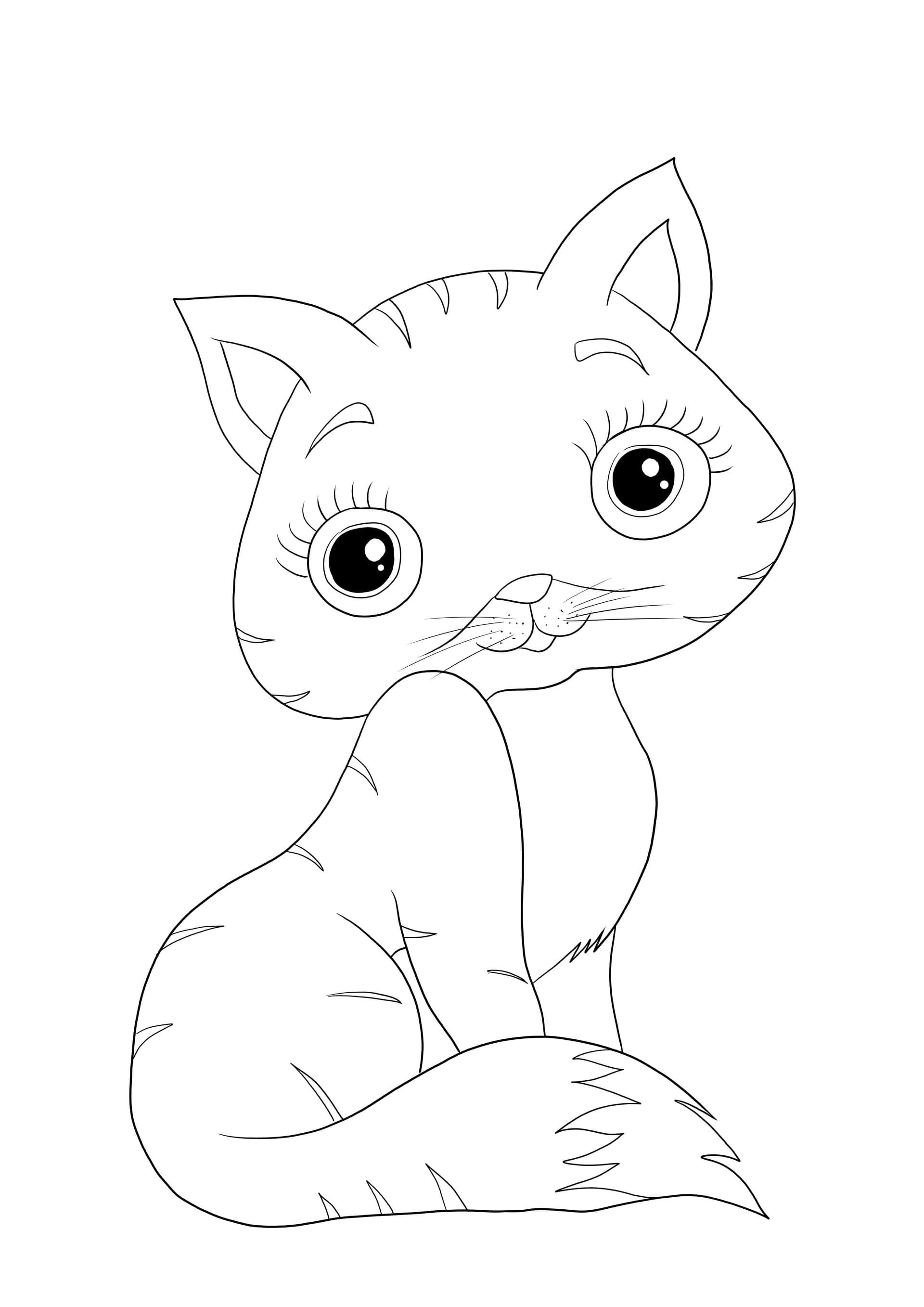 Cute kitten1