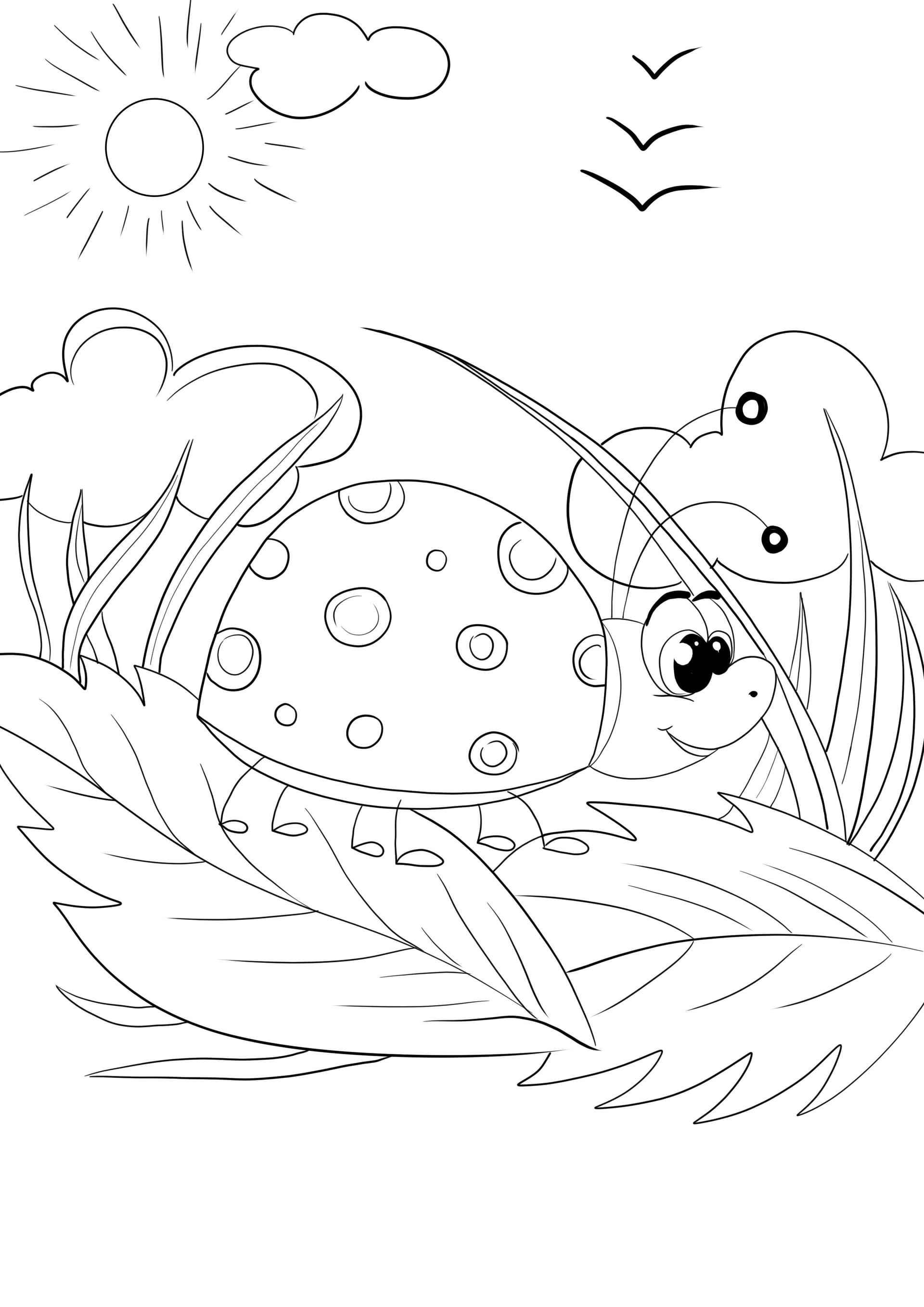 Cute ladybug