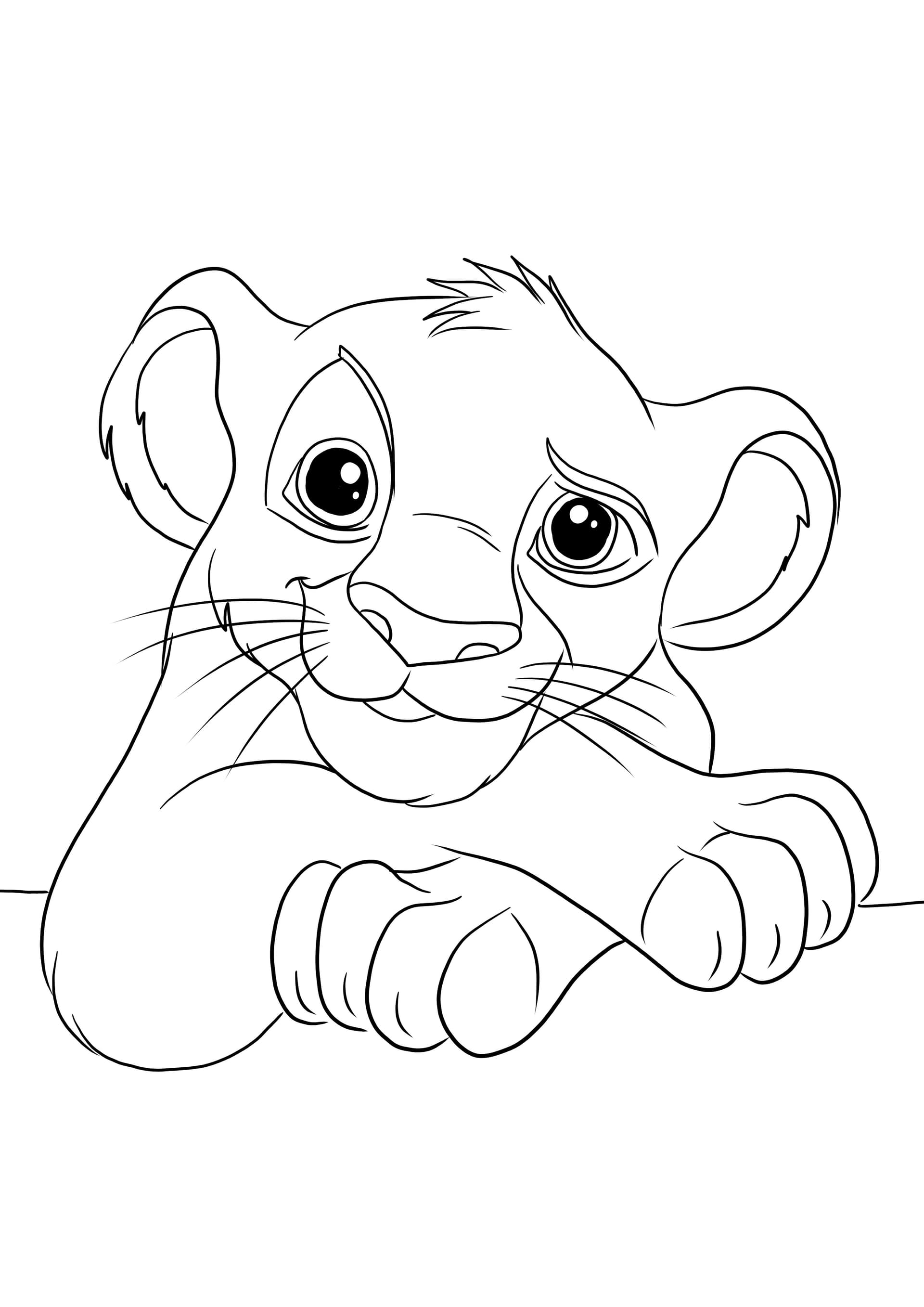 Cute Simba