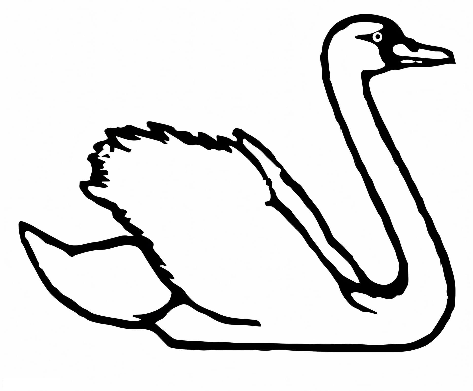 Swan 3